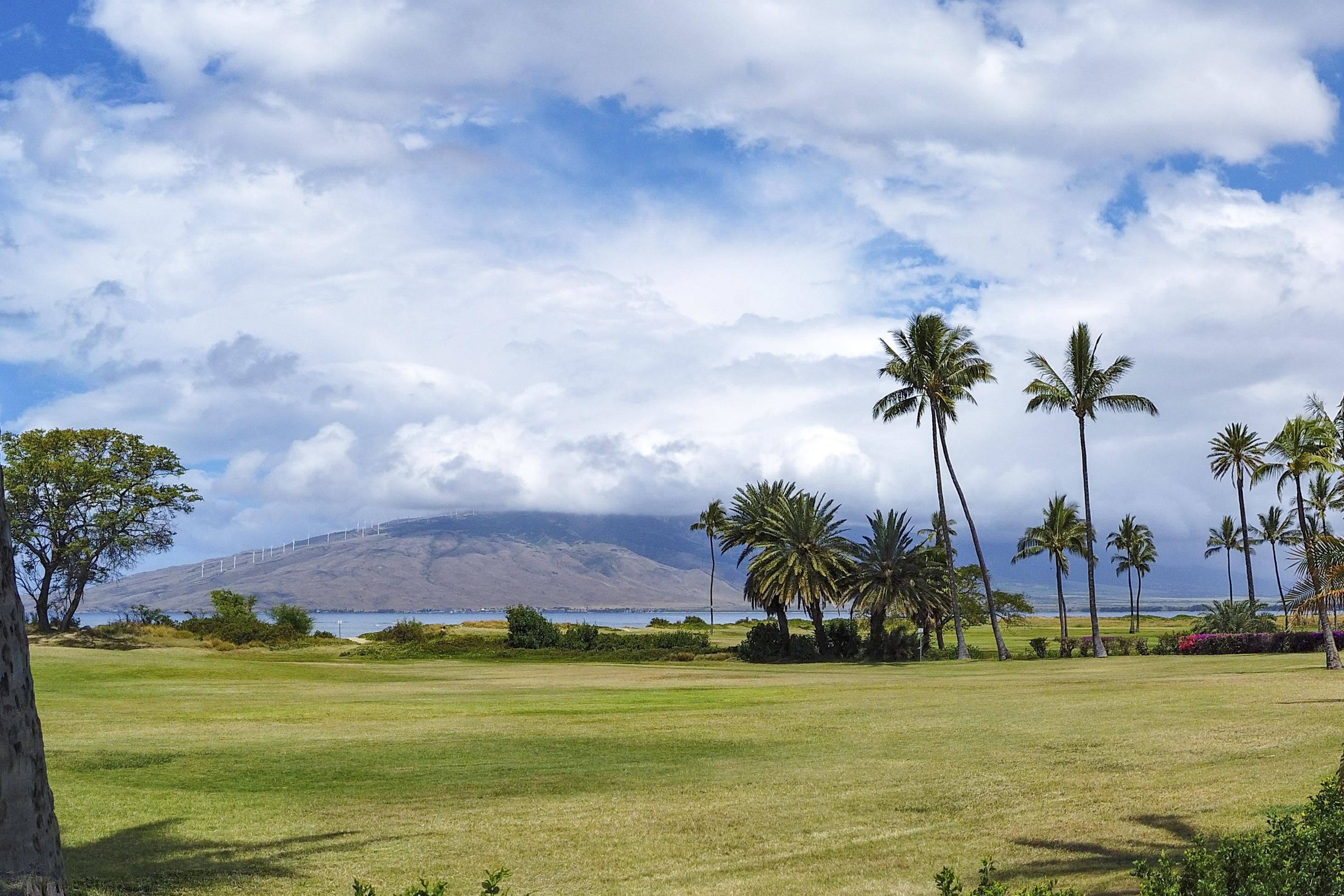 940 S Kihei Rd Property Photo 43