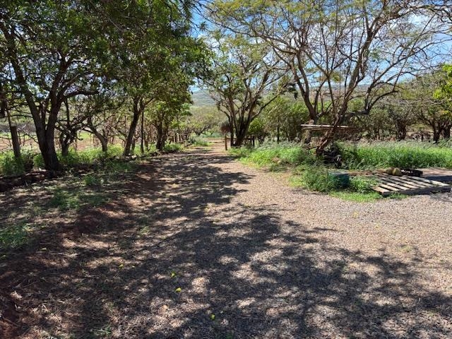 Lot 205 Pa Loa Loop Property Photo 6