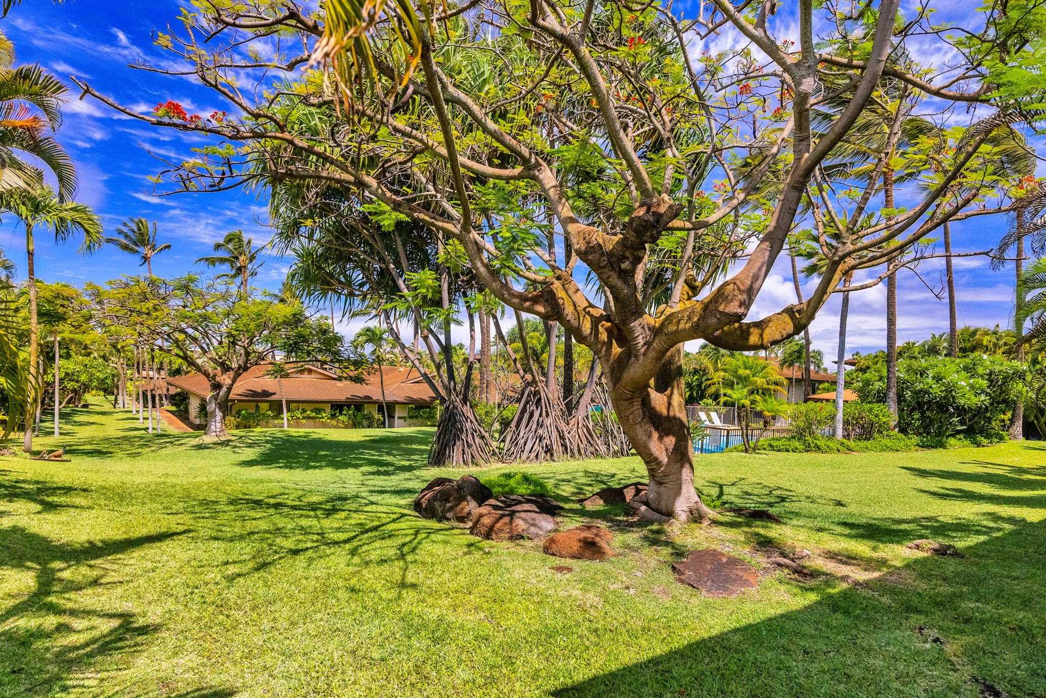 3788 Lower Honoapiilani Rd Property Photo 27