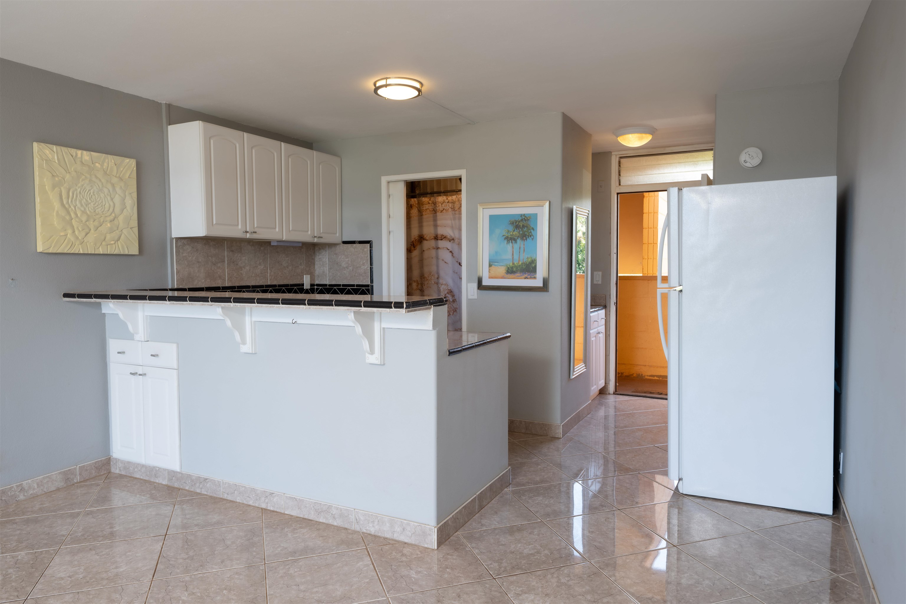 3660 Lower Honoapiilani Rd Property Photo 11