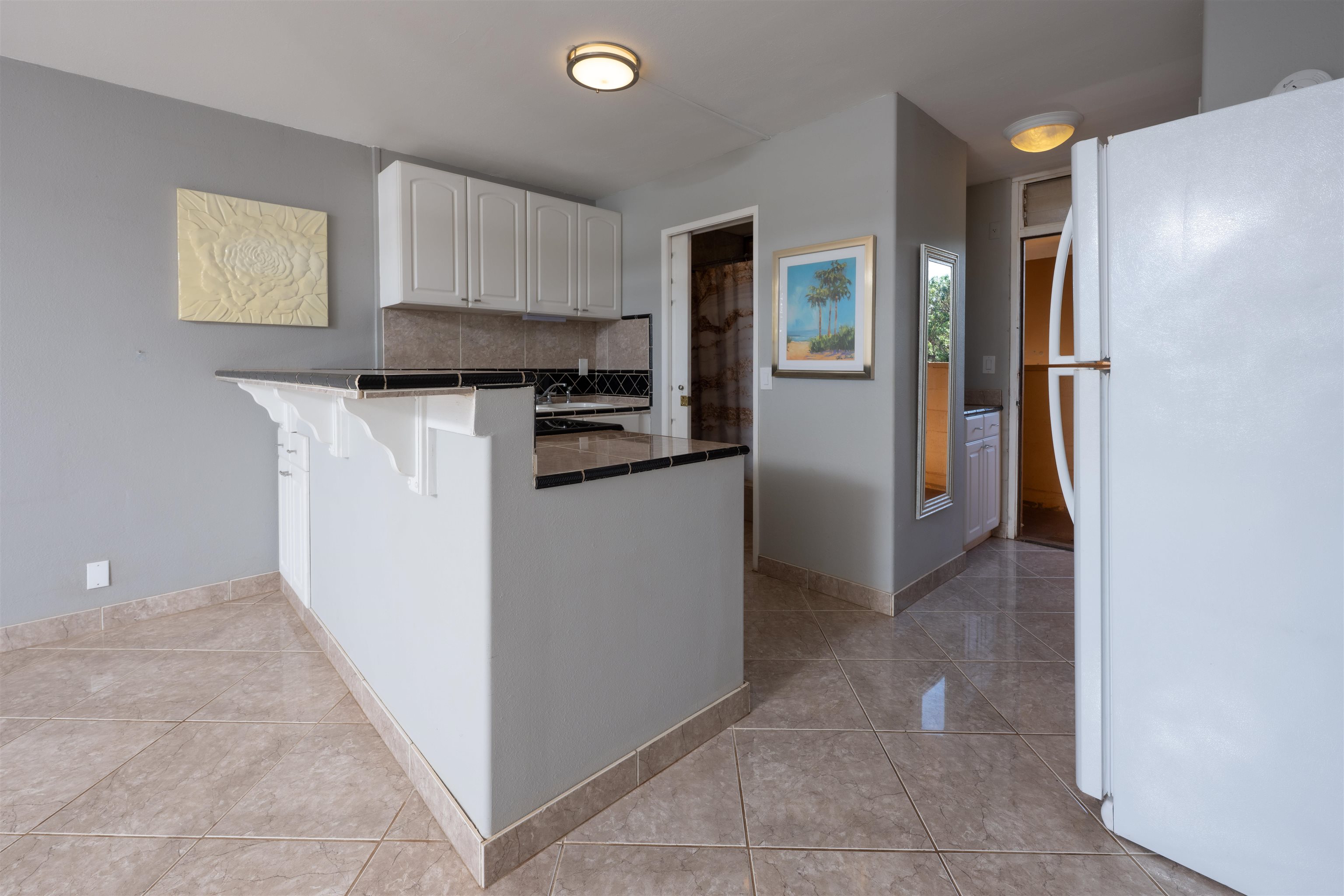 3660 Lower Honoapiilani Rd Property Photo 12