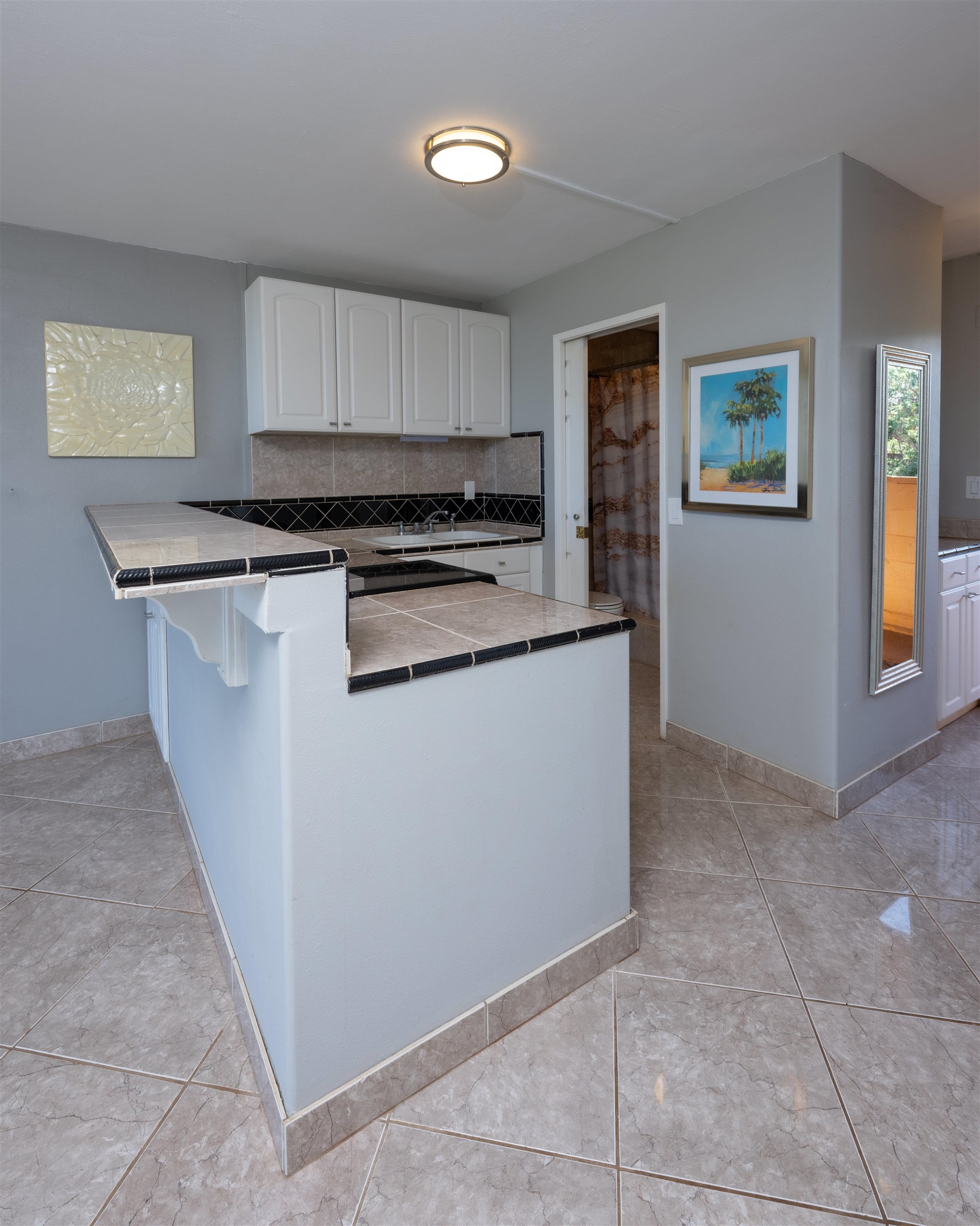 3660 Lower Honoapiilani Rd Property Photo 13