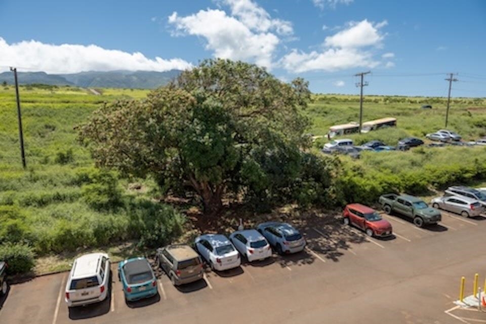 3660 Lower Honoapiilani Rd Property Photo 40