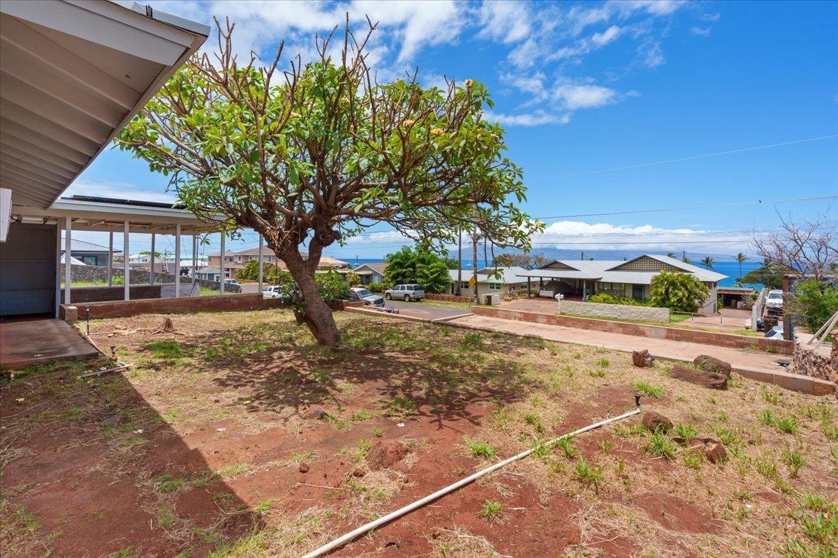 1648 Ainakea Rd Property Photo 11