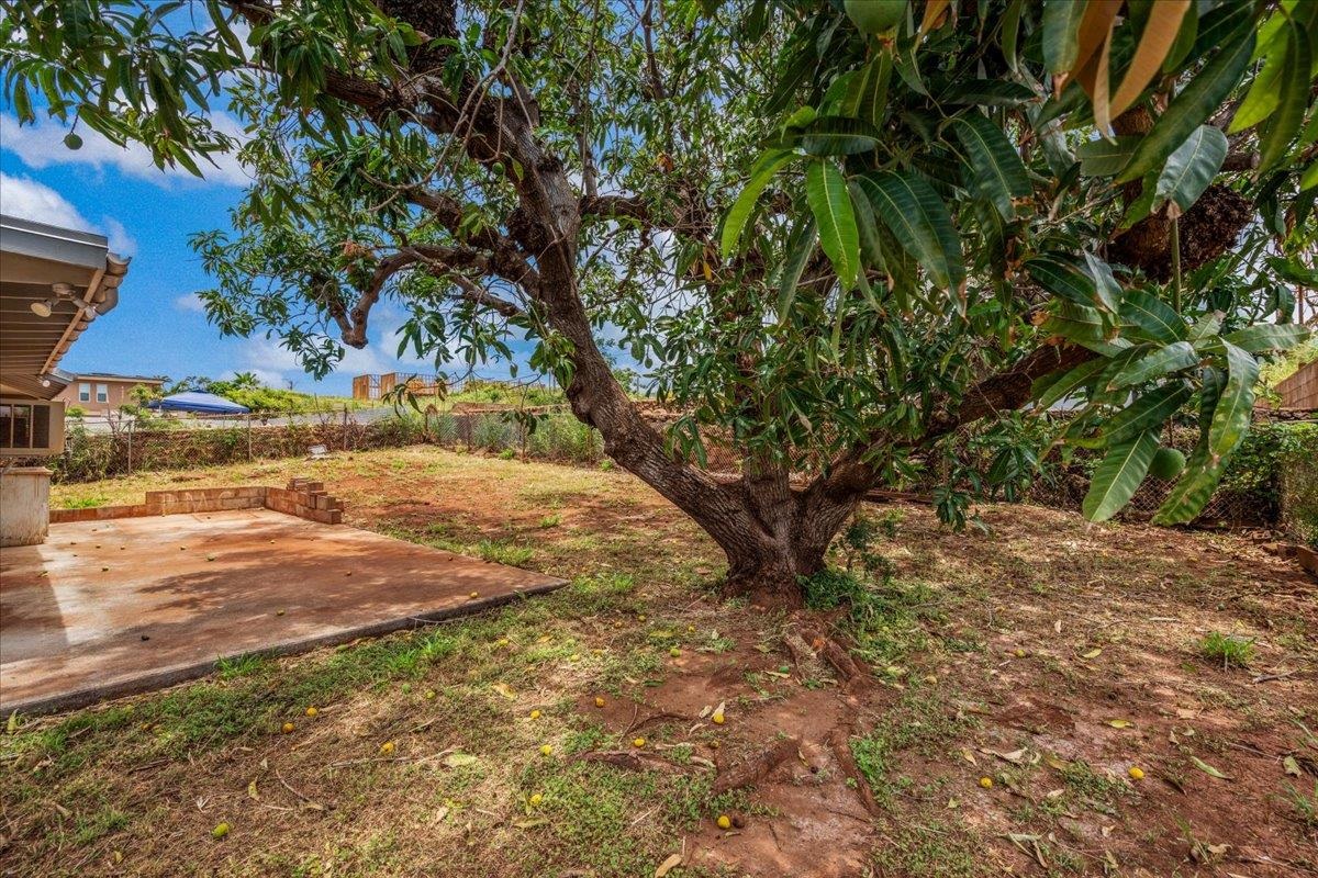 1648 Ainakea Rd Property Photo 45