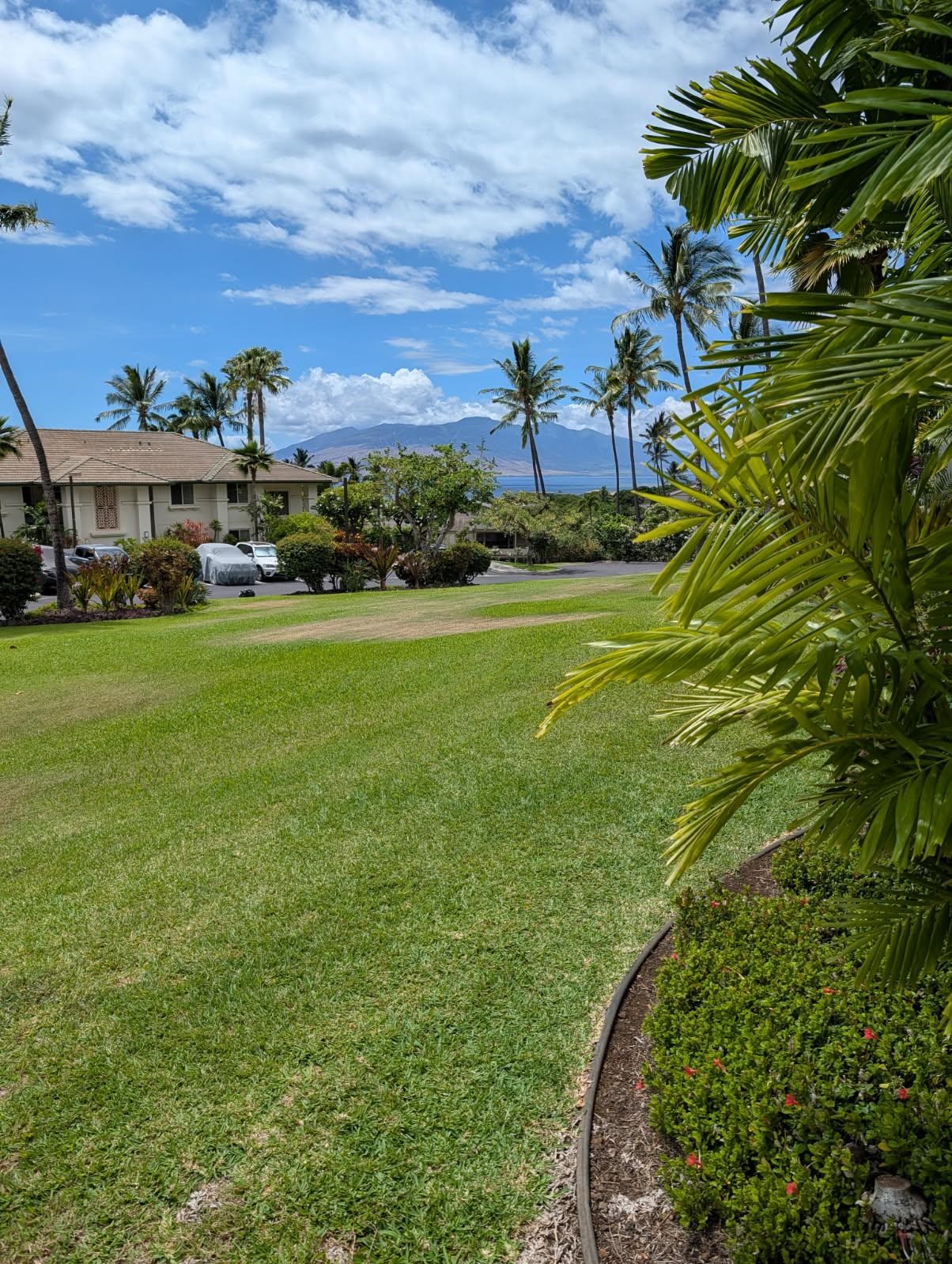 3950 Kalai Waa St Property Photo 18