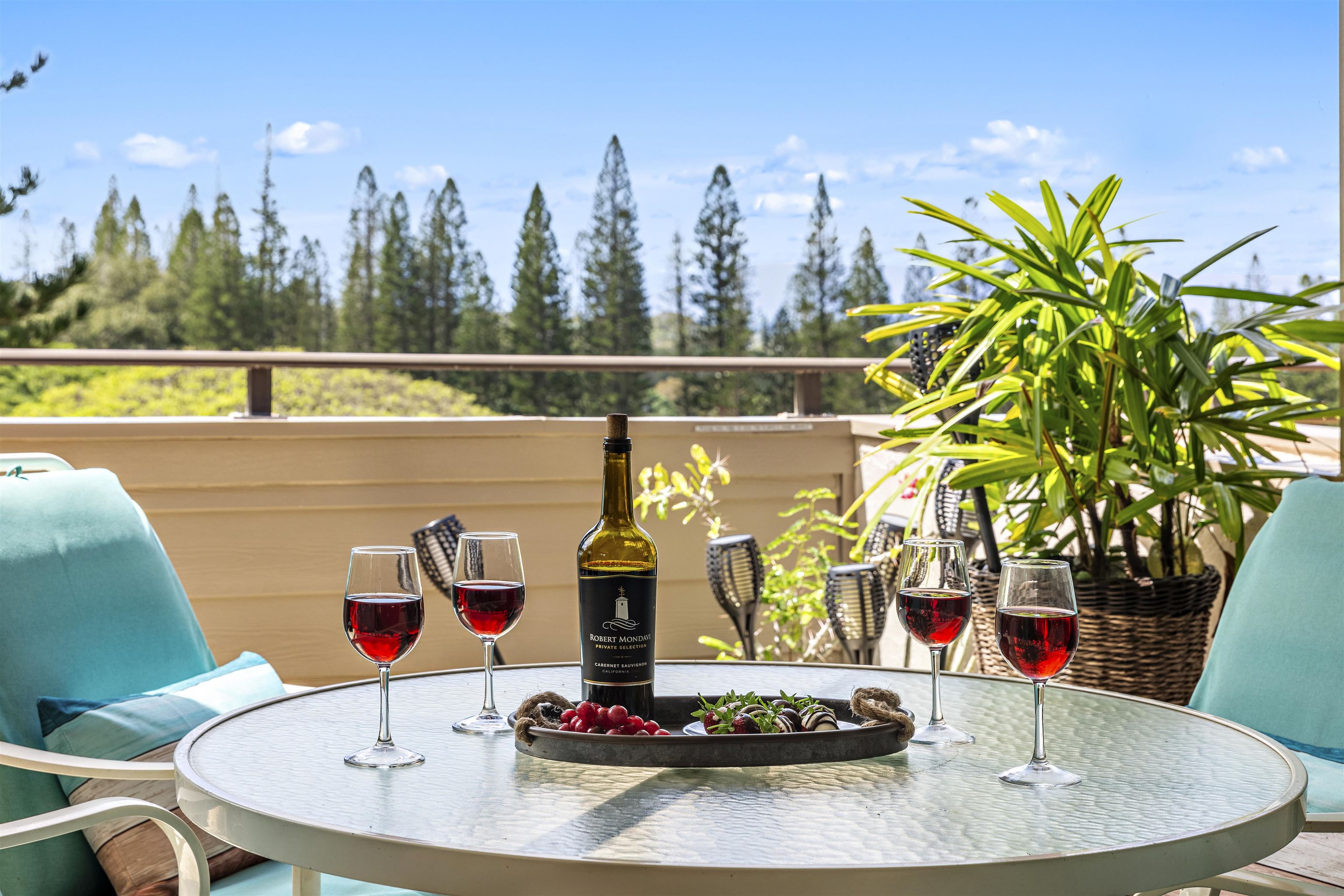500 Kapalua Dr Property Photo 2