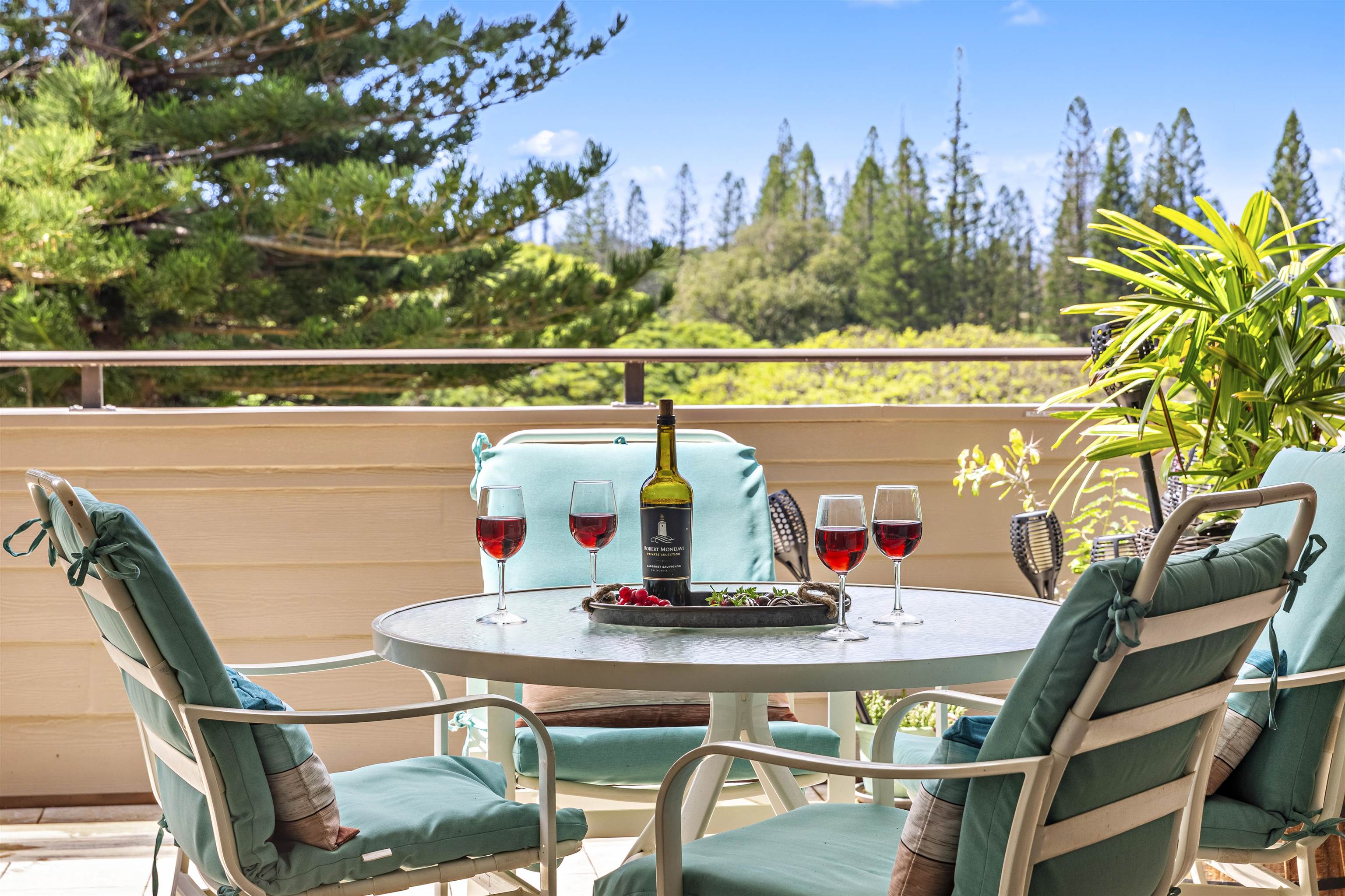 500 Kapalua Dr Property Photo 3