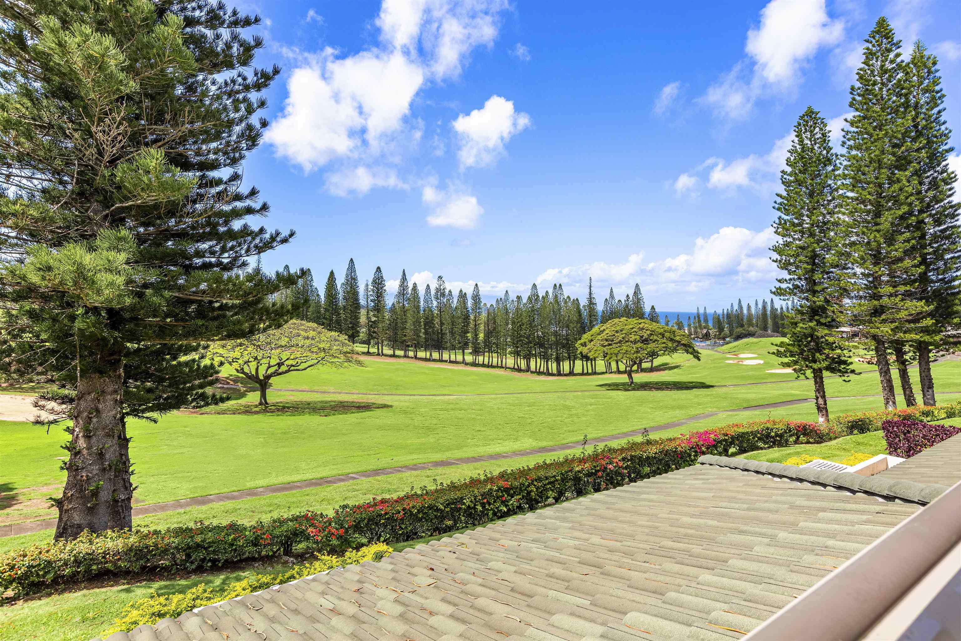 500 Kapalua Dr Property Photo 5