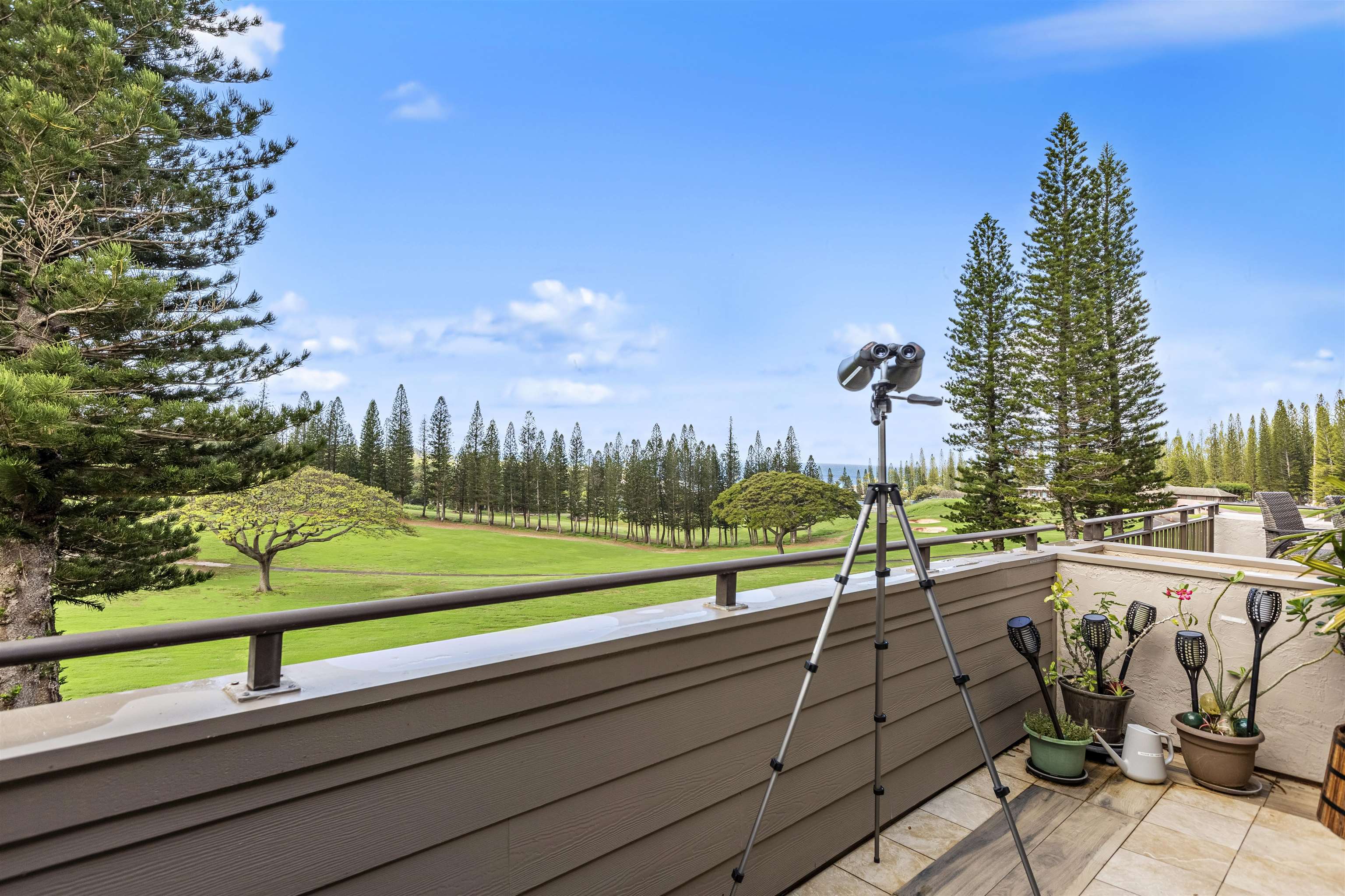 500 Kapalua Dr Property Photo 6