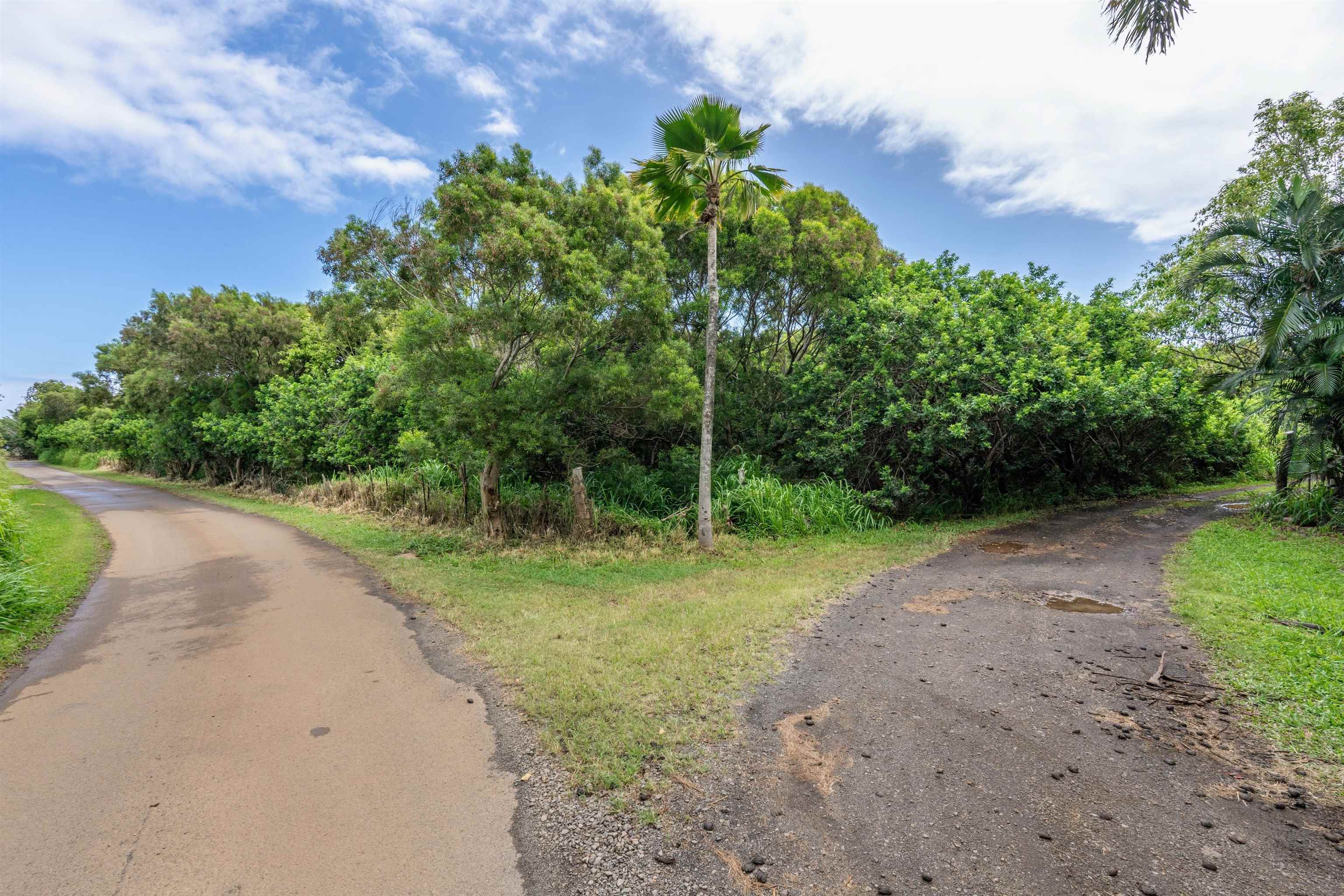 0 Haumana Rd Property Photo 4