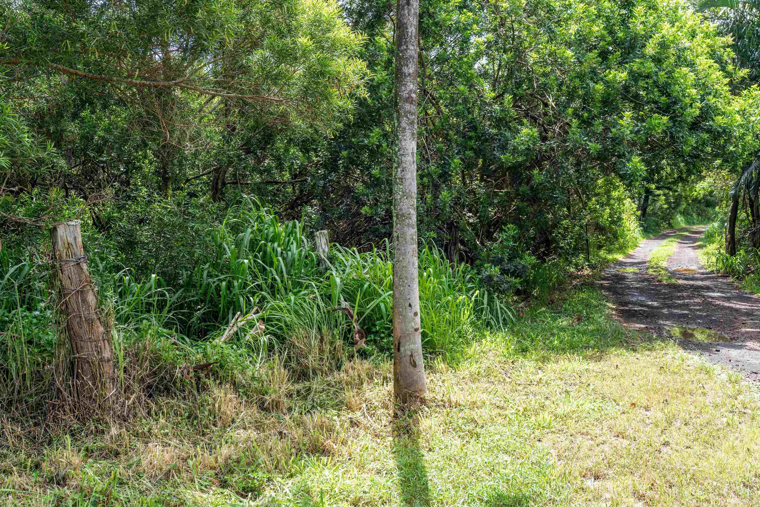 0 Haumana Rd Property Photo 6