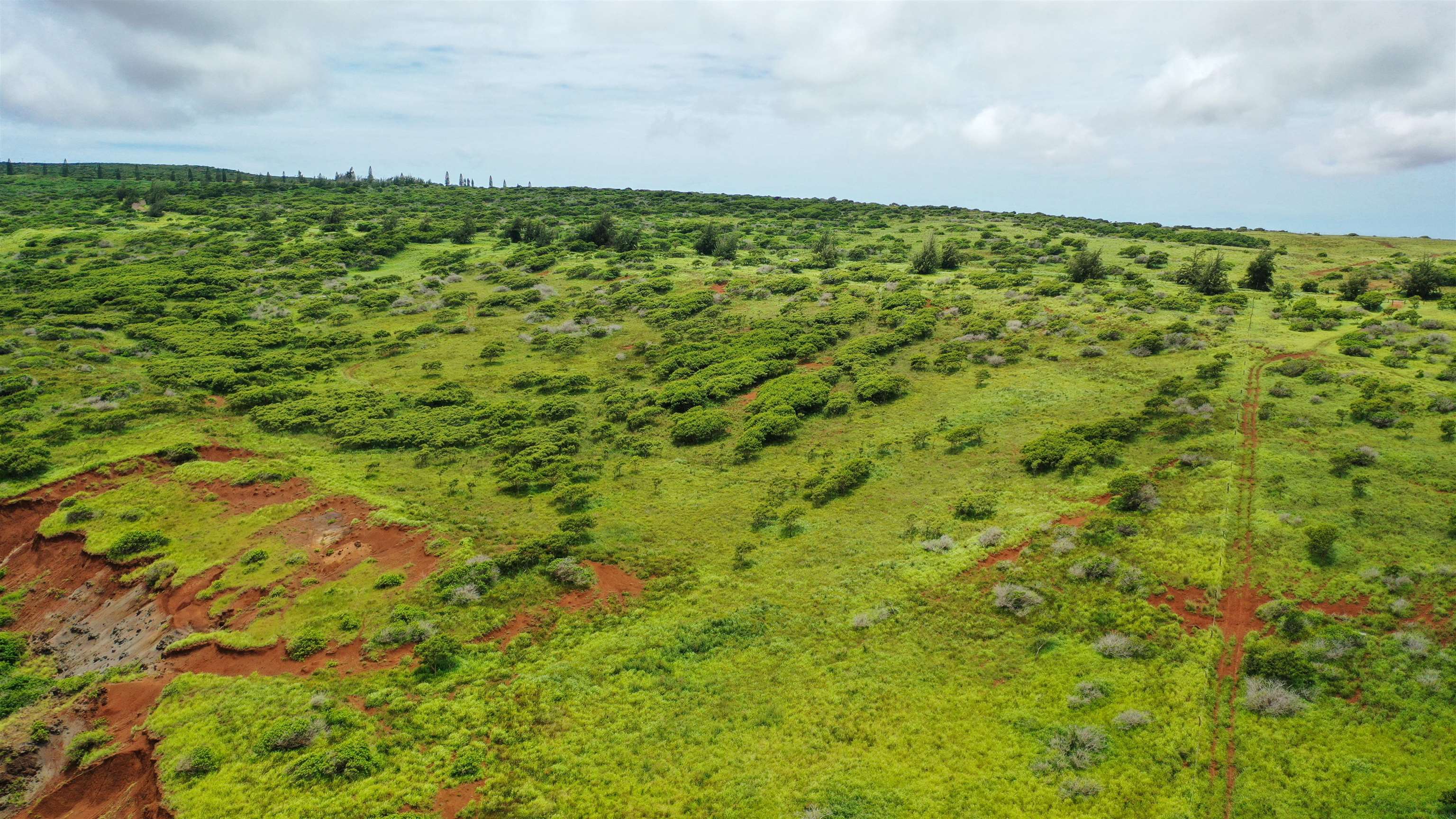 0 Kalua Koi Rd Property Photo 11