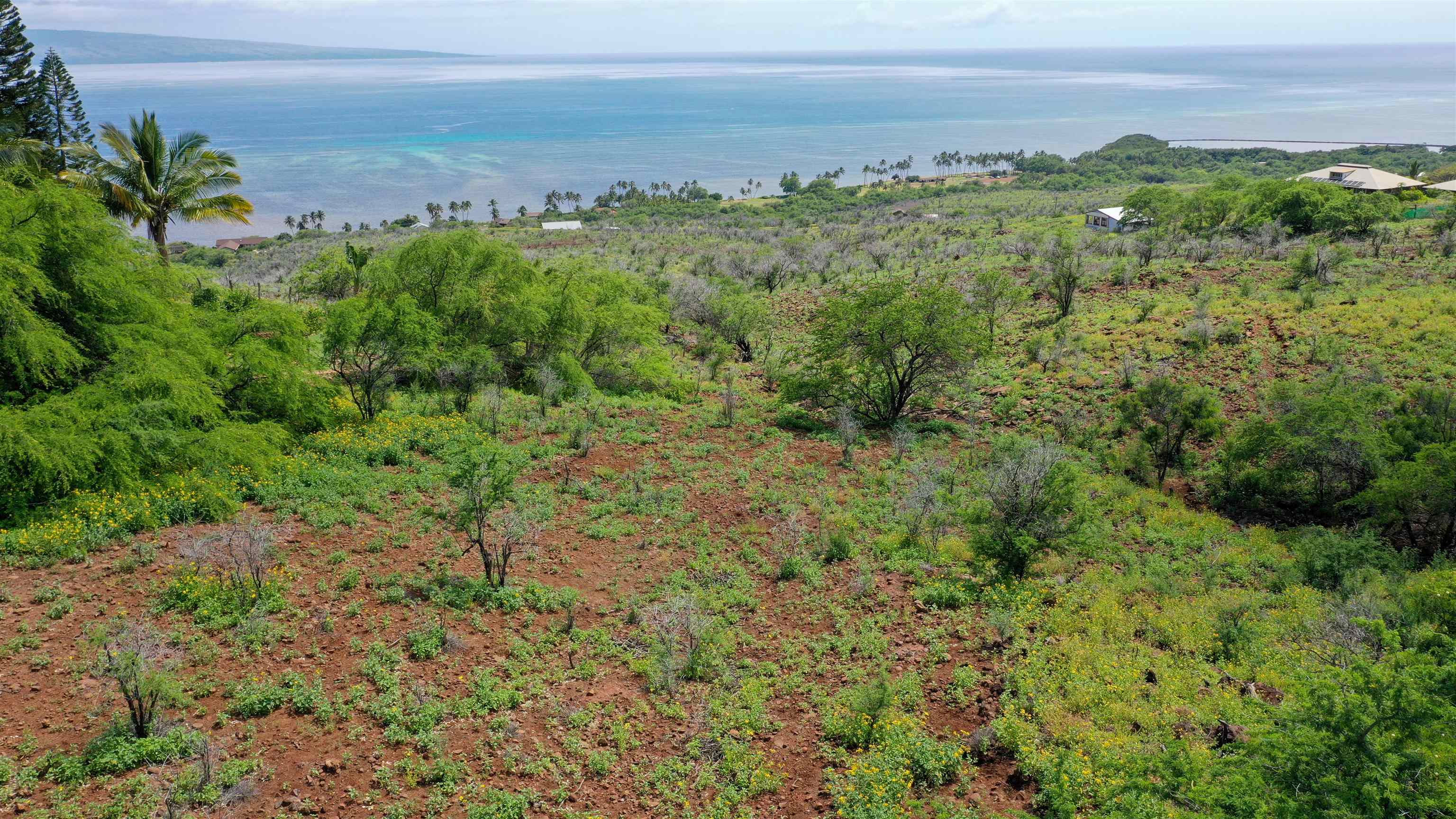 303 Makanui Rd Property Photo 12