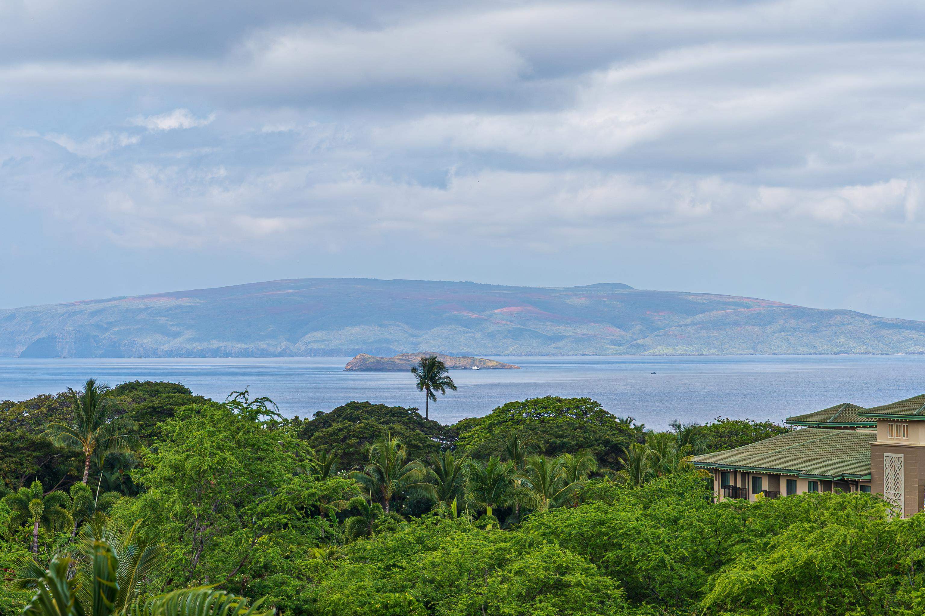 59 Wailea Gateway Pl Property Photo 6
