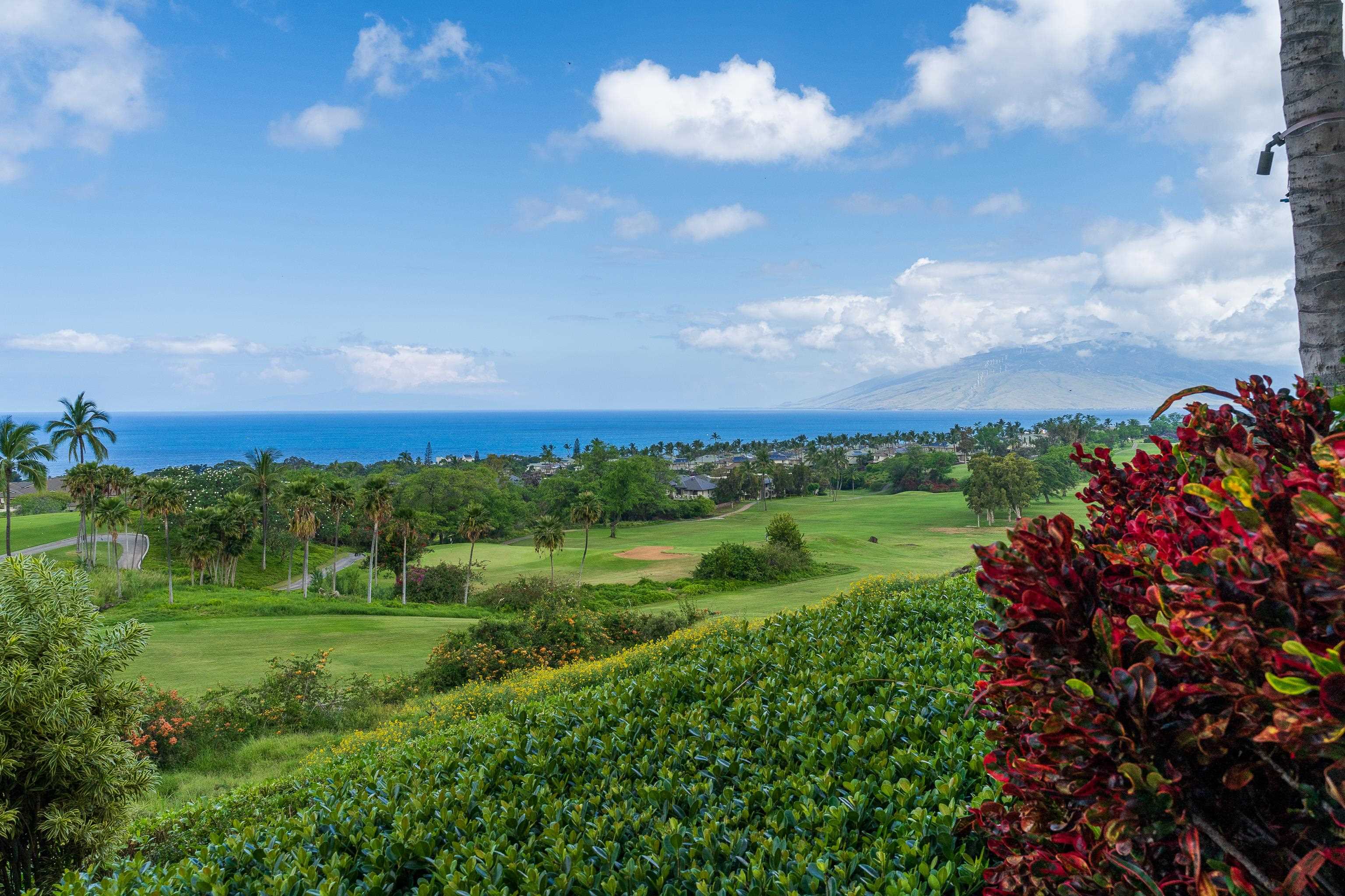 59 Wailea Gateway Pl Property Photo 11