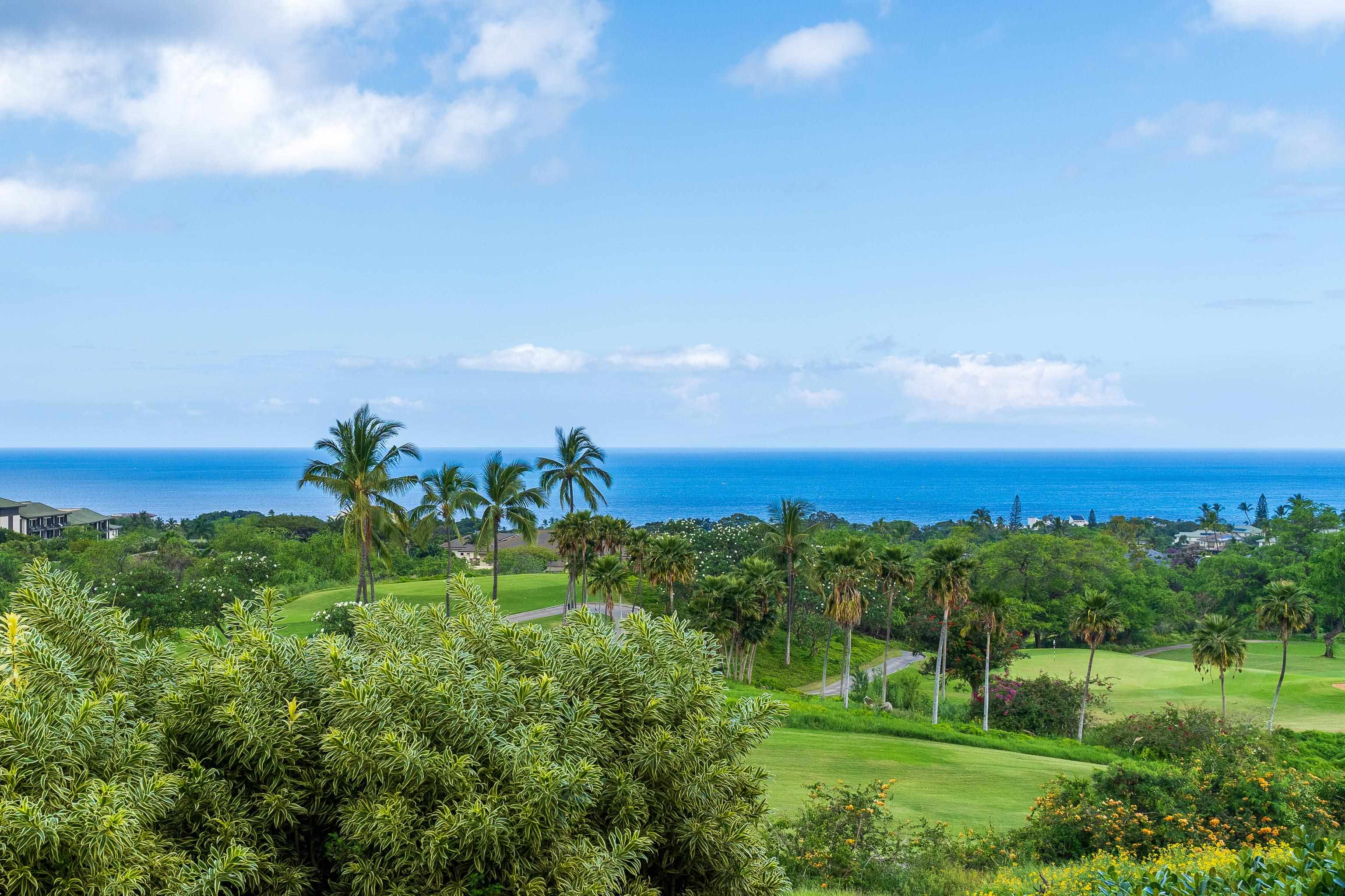 59 Wailea Gateway Pl Property Photo 14