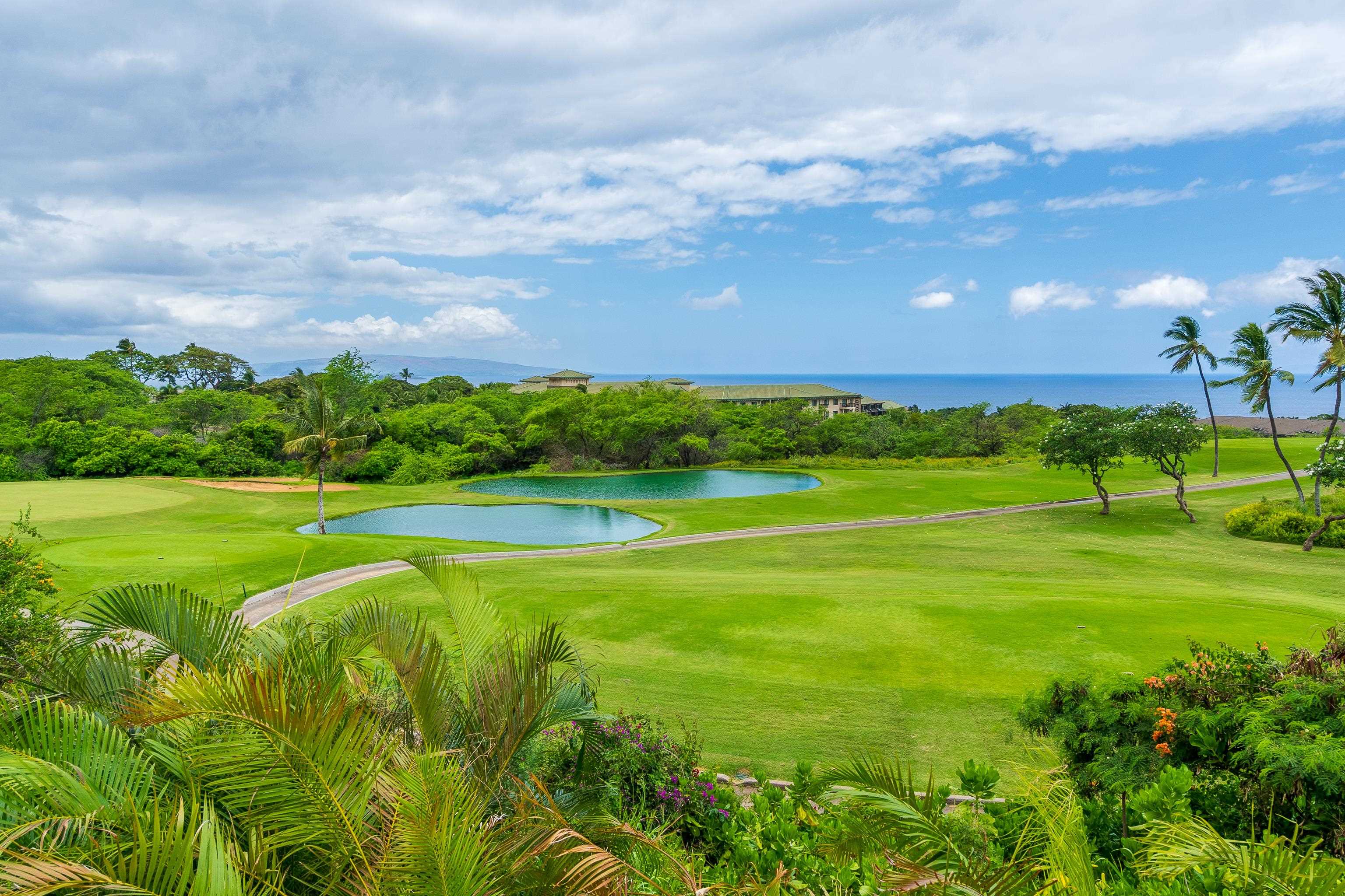 59 Wailea Gateway Pl Property Photo 40