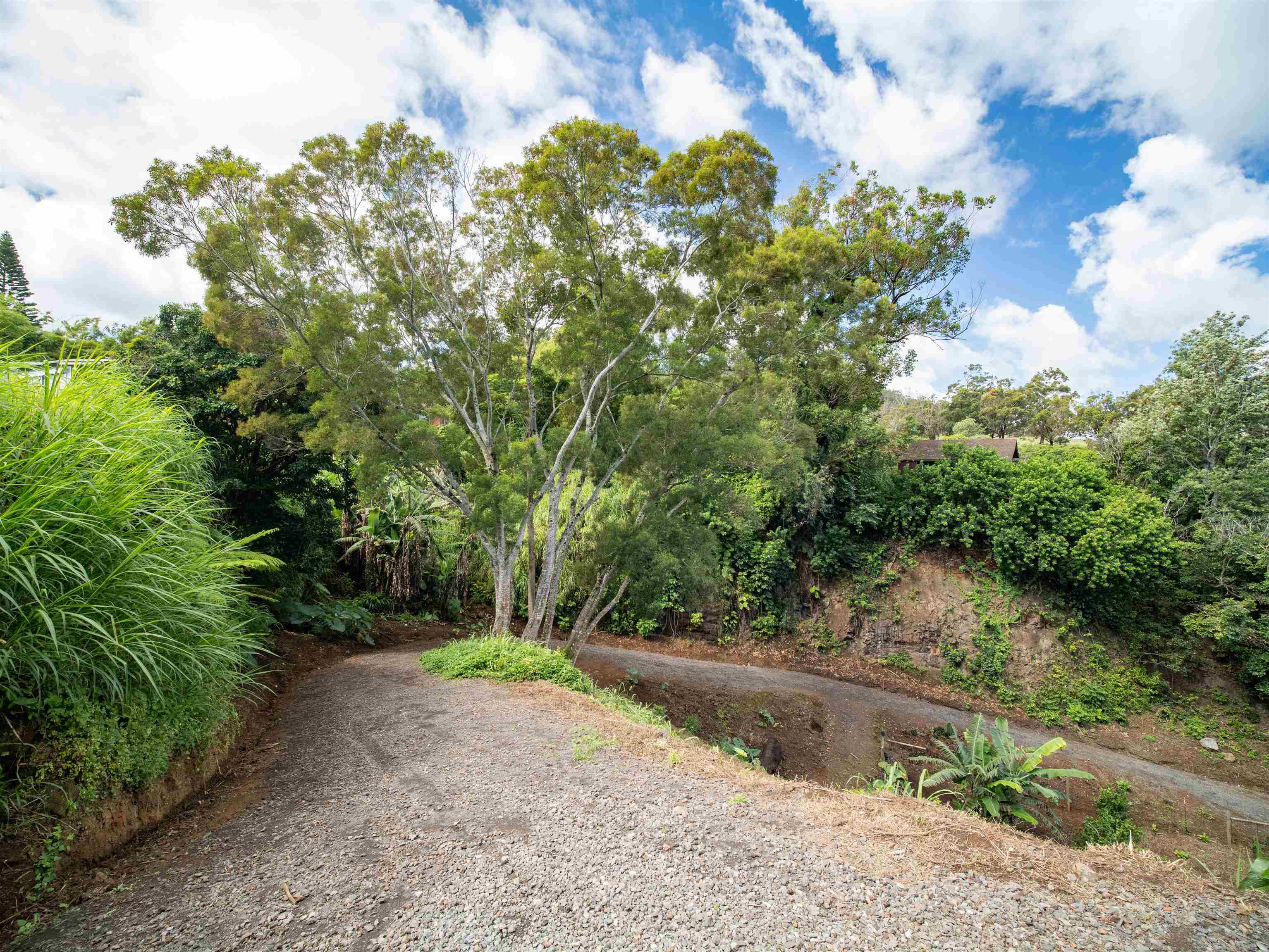 50 Eono Pl Property Photo 44