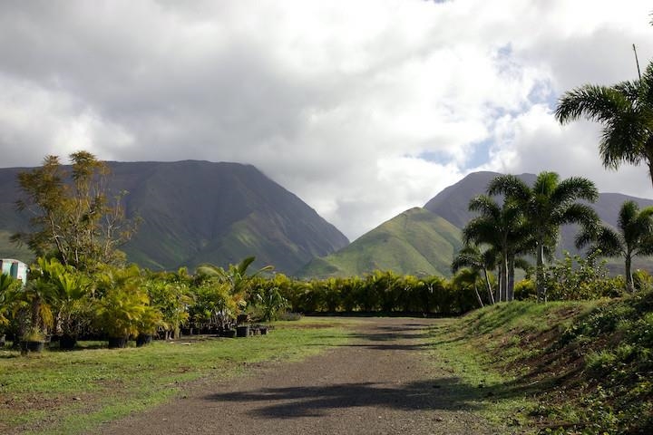 150 Kai Hele Ku Rd Property Photo 7