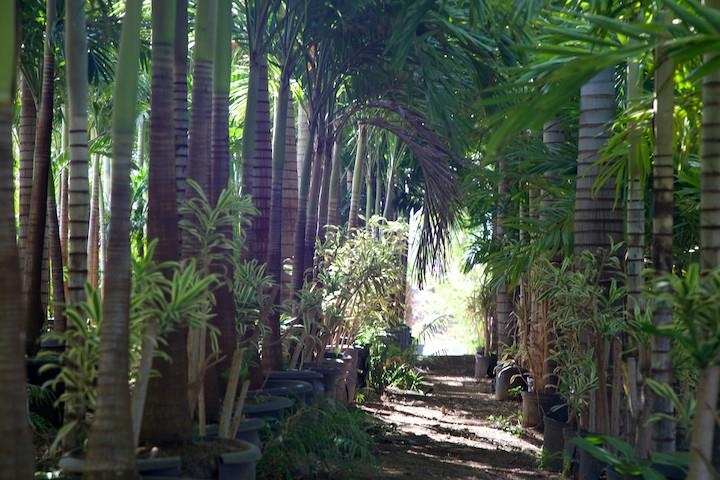 150 Kai Hele Ku Rd Property Photo 14