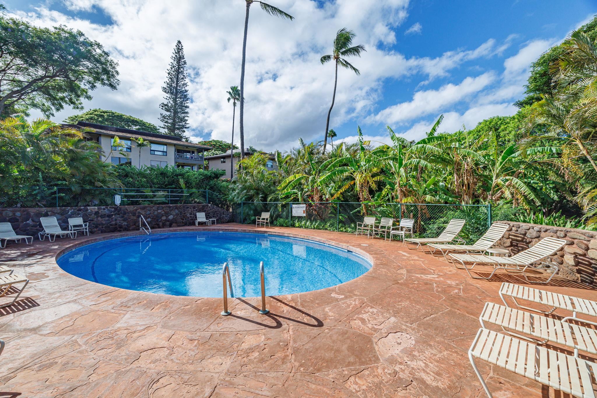 150 Puukolii Rd Property Photo 38