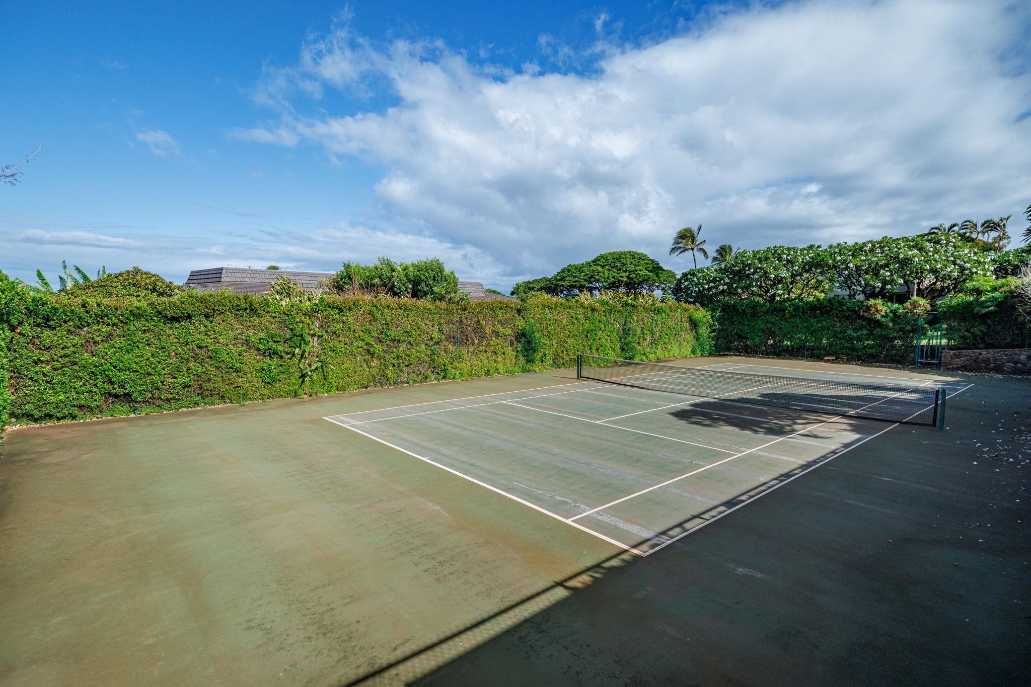 150 Puukolii Rd Property Photo 39