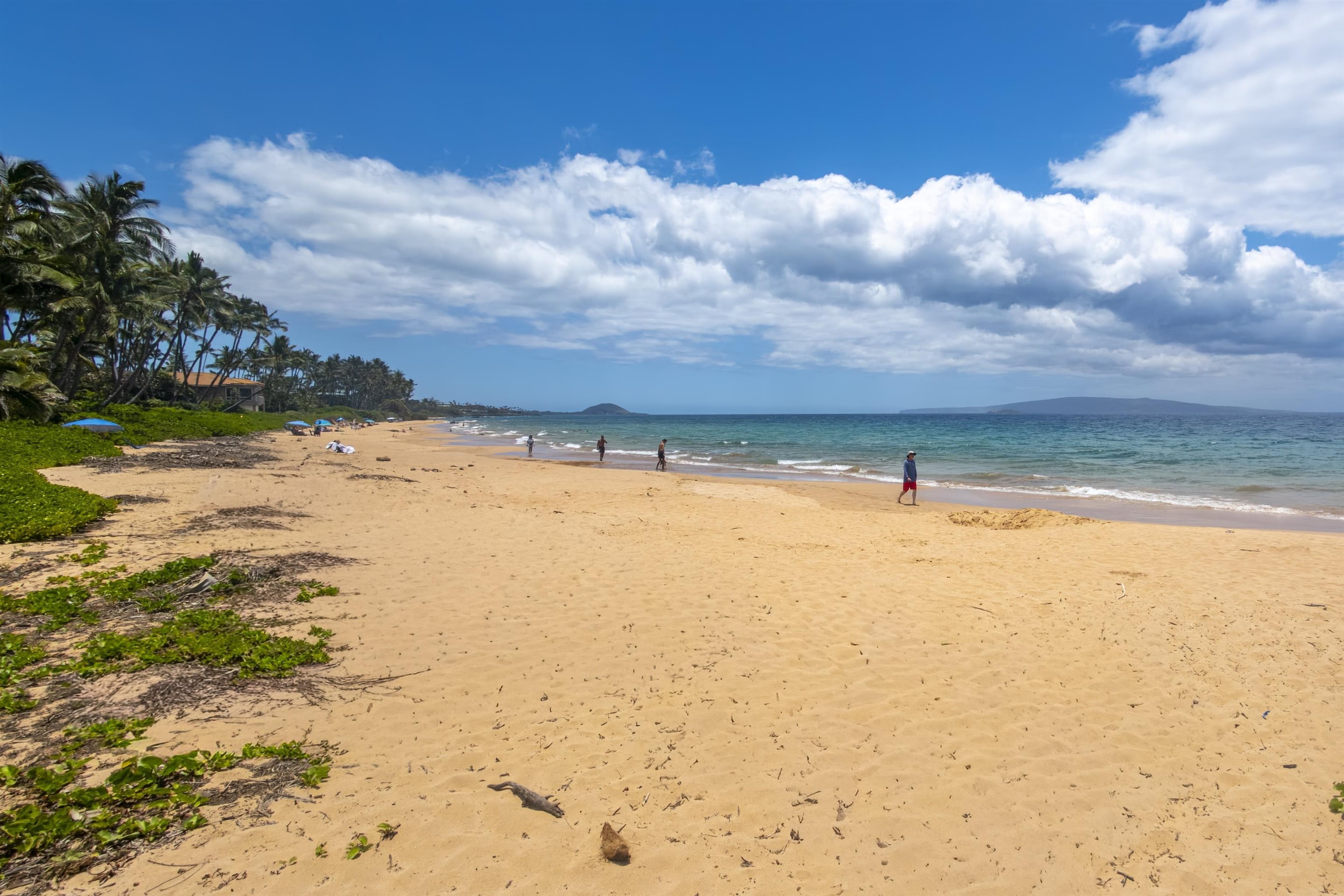 2994 S Kihei Rd Property Photo 45