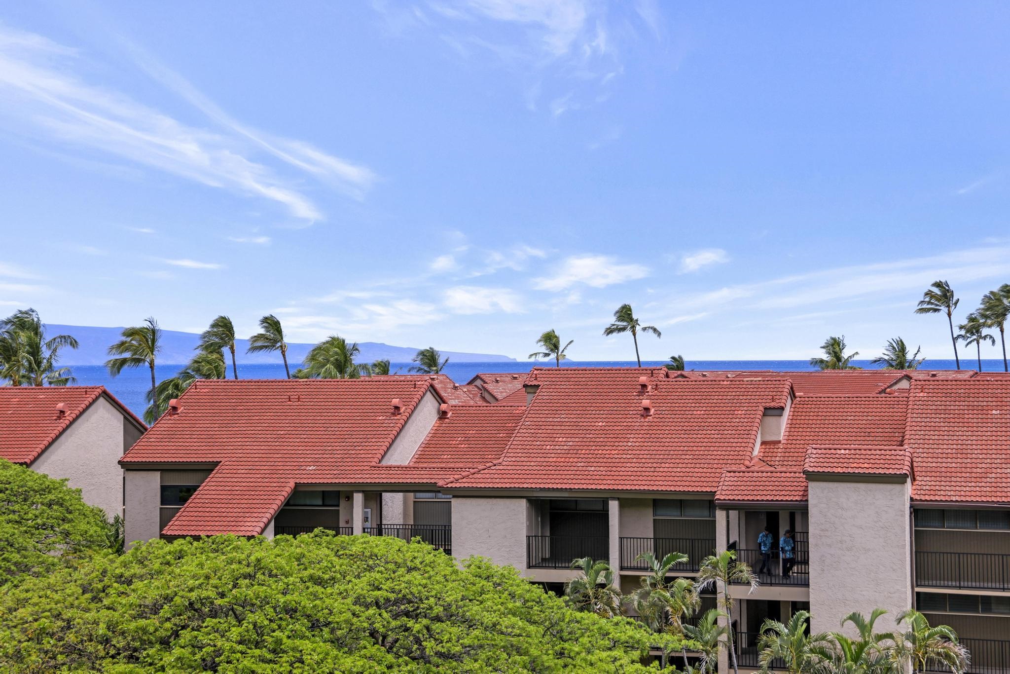 3445 Lower Honoapiilani Rd Property Photo 5