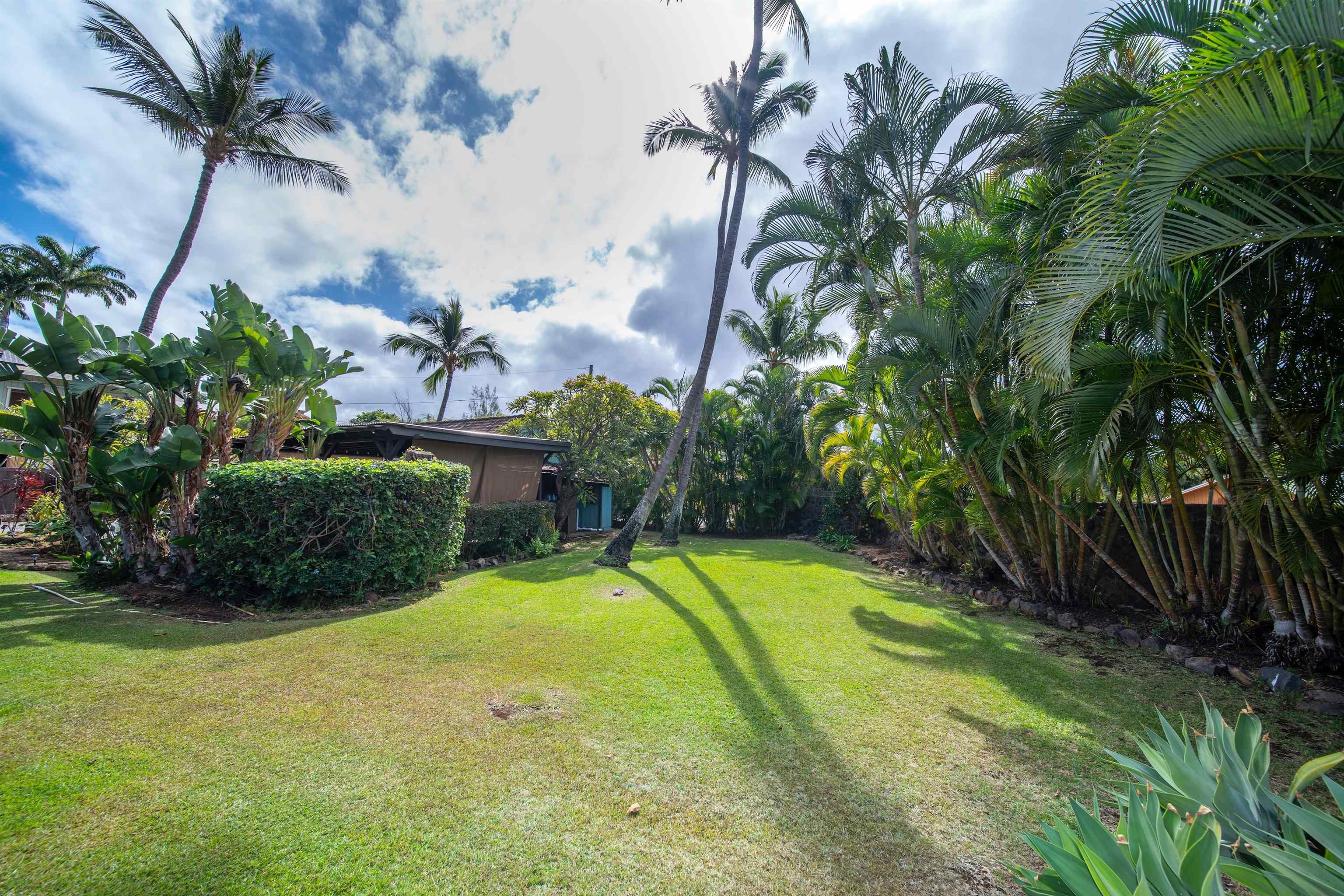 3161 Mapu Pl Property Photo 34