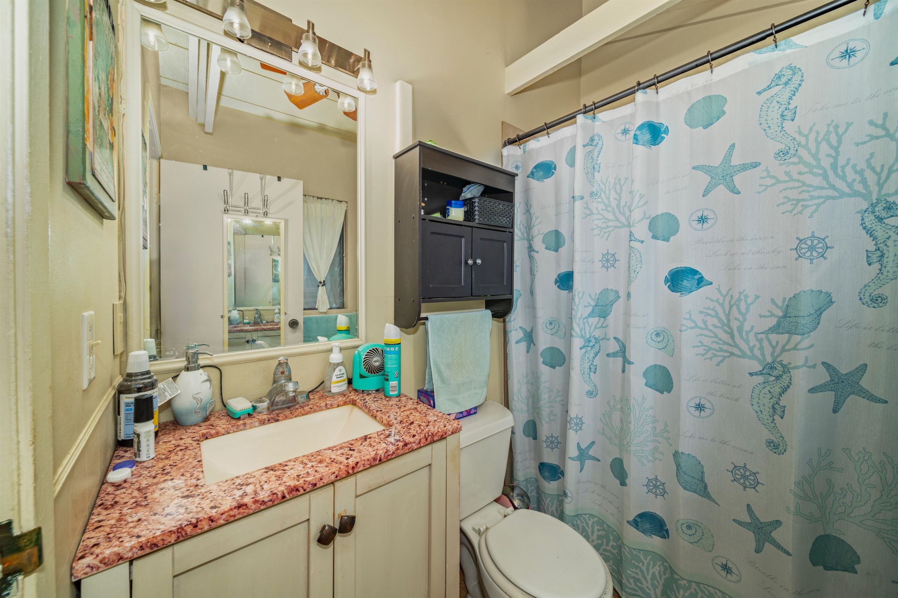 3161 Mapu Pl Property Photo 41