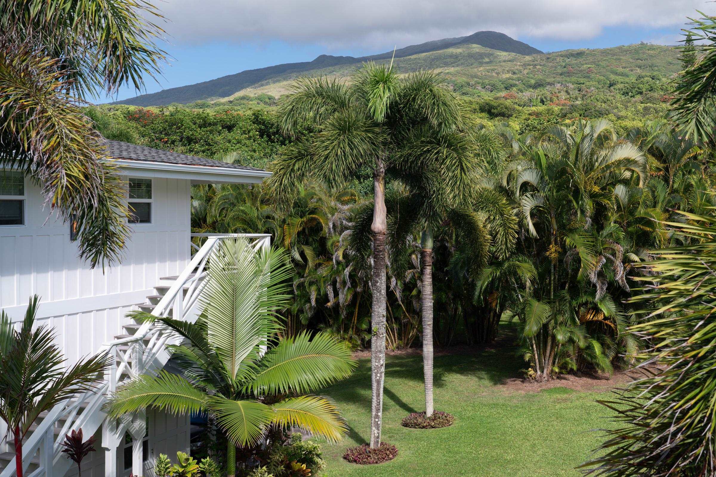 51 Kapohue Rd Property Photo 45