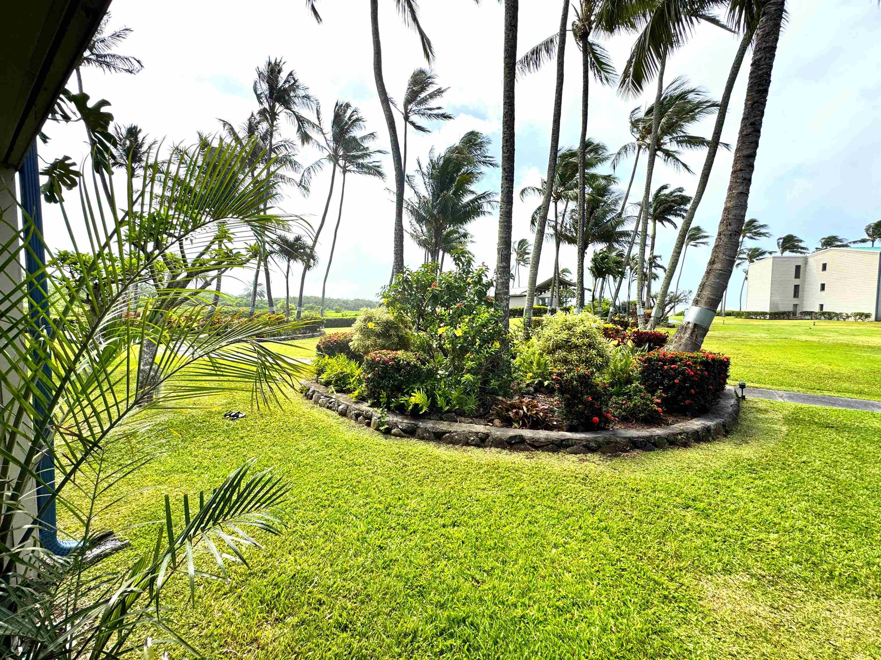 7146 Kamehameha V Hwy Property Photo 15