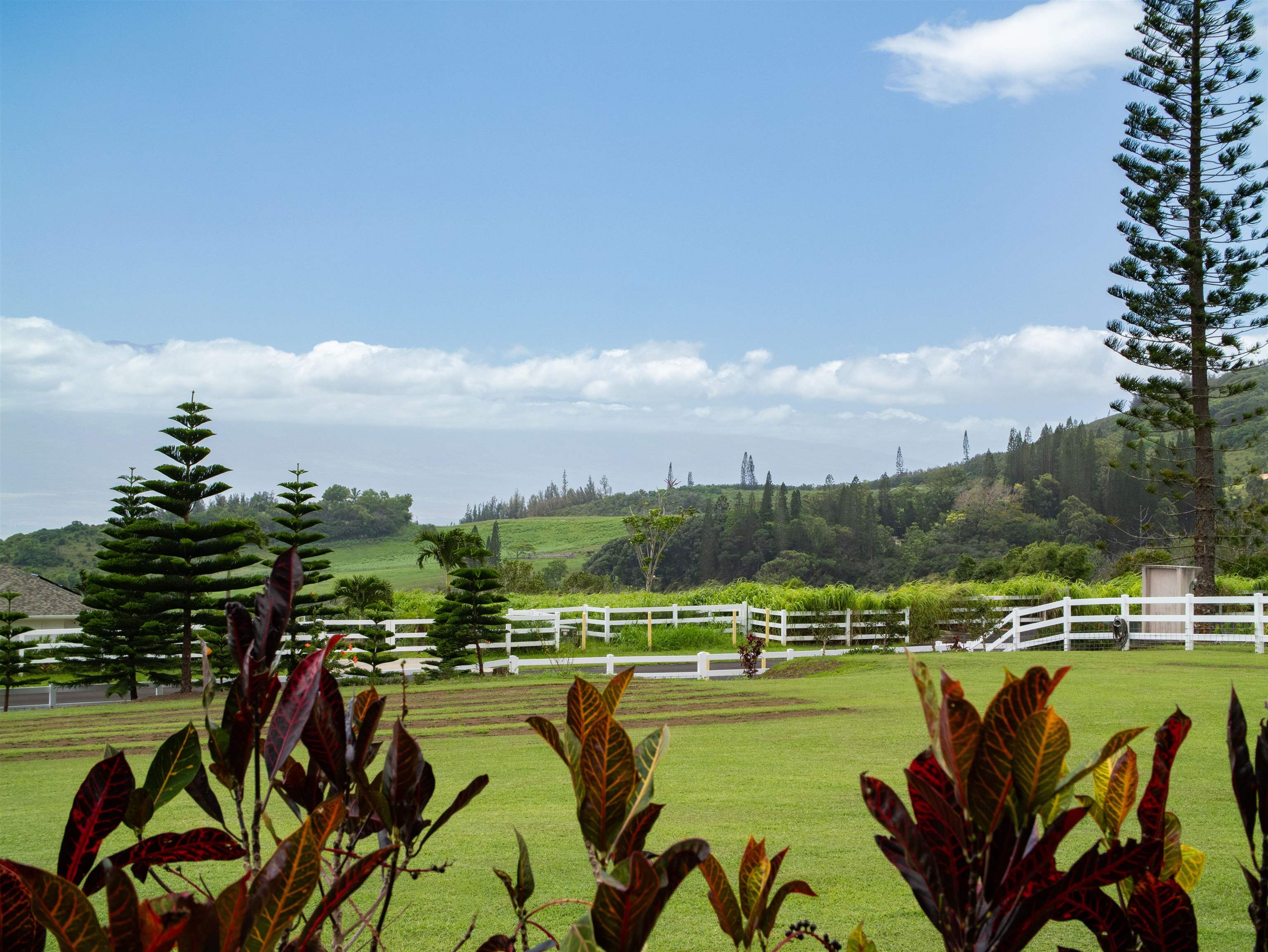 18 Lahaole Pl Property Photo 20