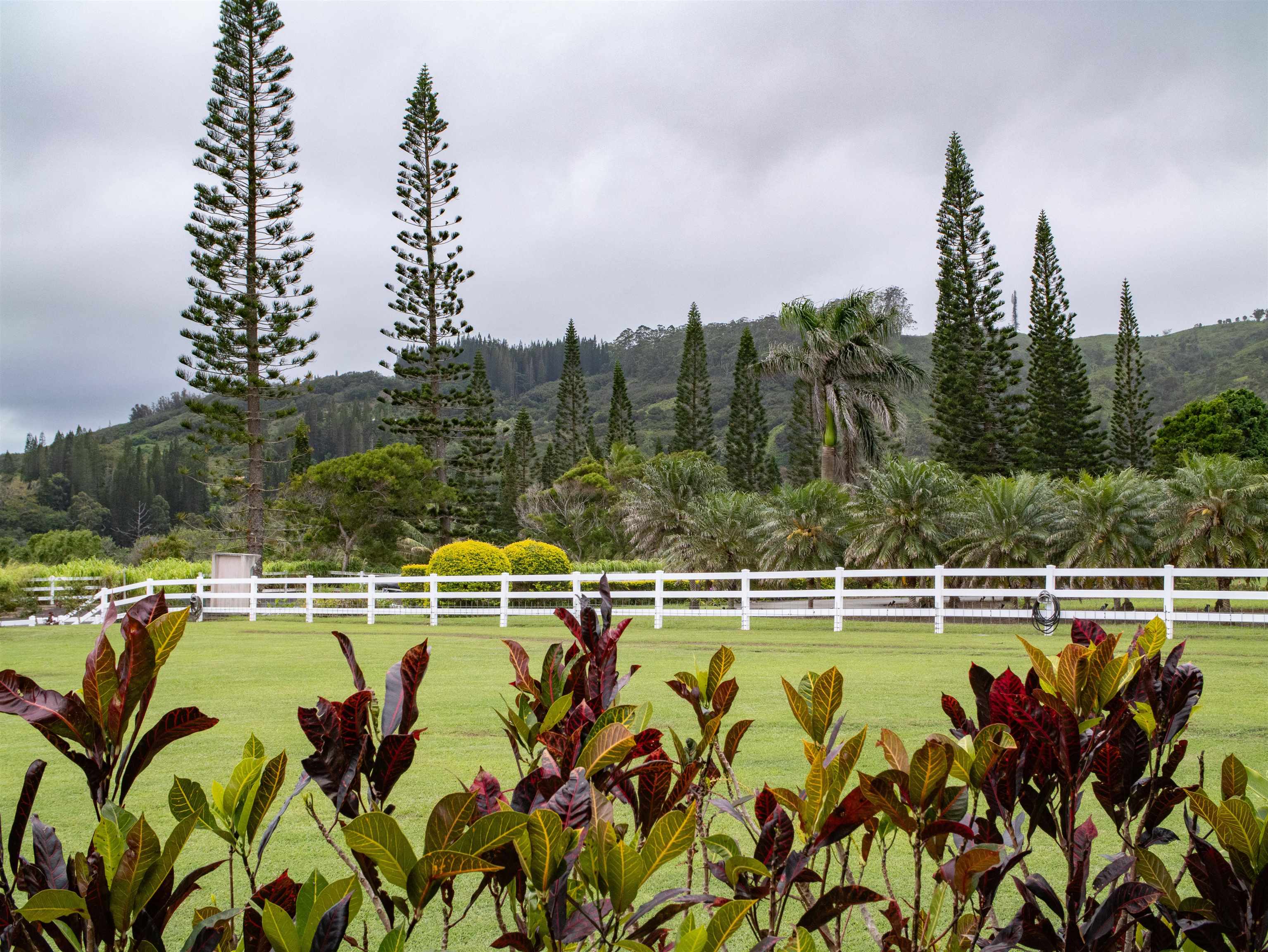 18 Lahaole Pl Property Photo 48