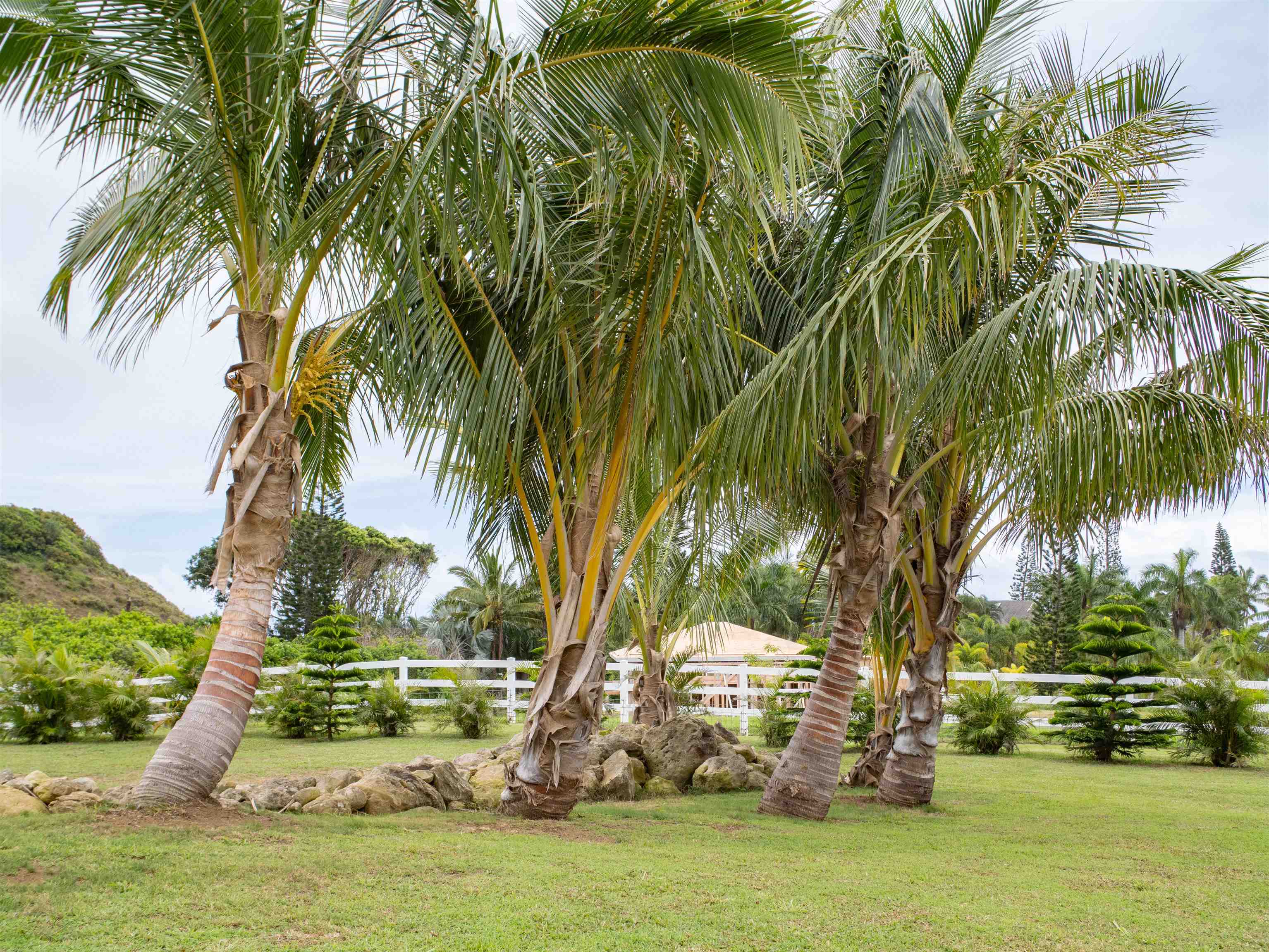 18 Lahaole Pl Property Photo 49