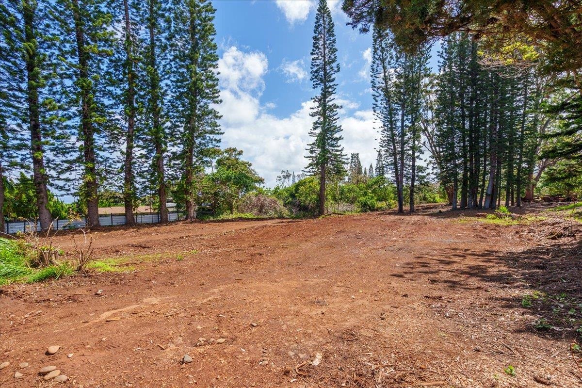 2175 Kauhikoa Rd Property Photo 2