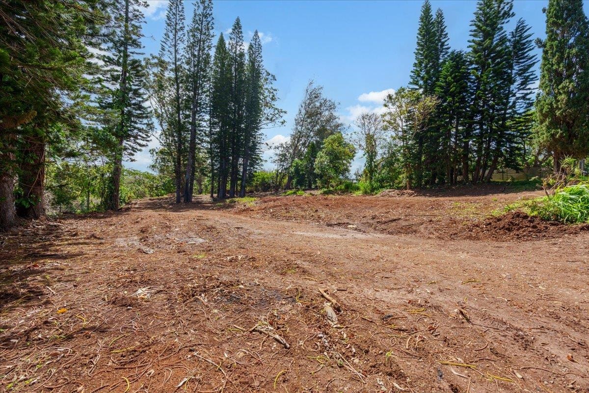 2175 Kauhikoa Rd Property Photo 3