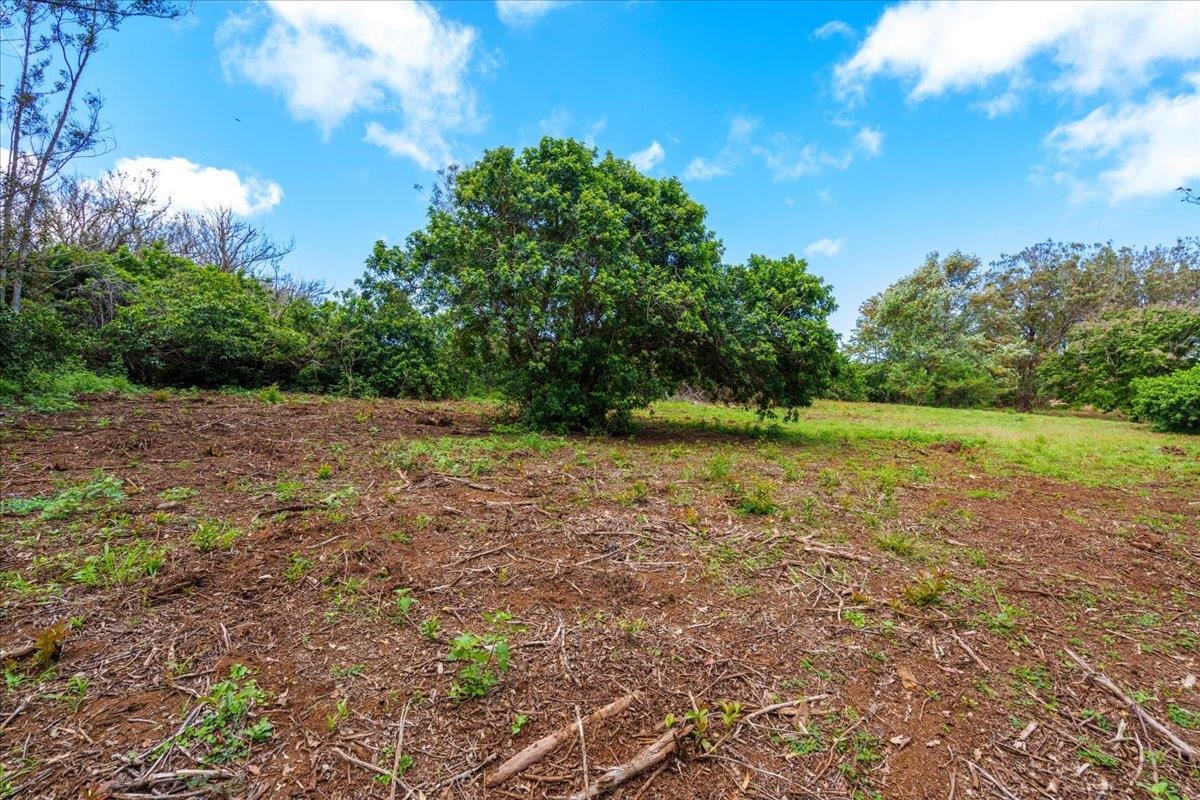2175 Kauhikoa Rd Property Photo 4