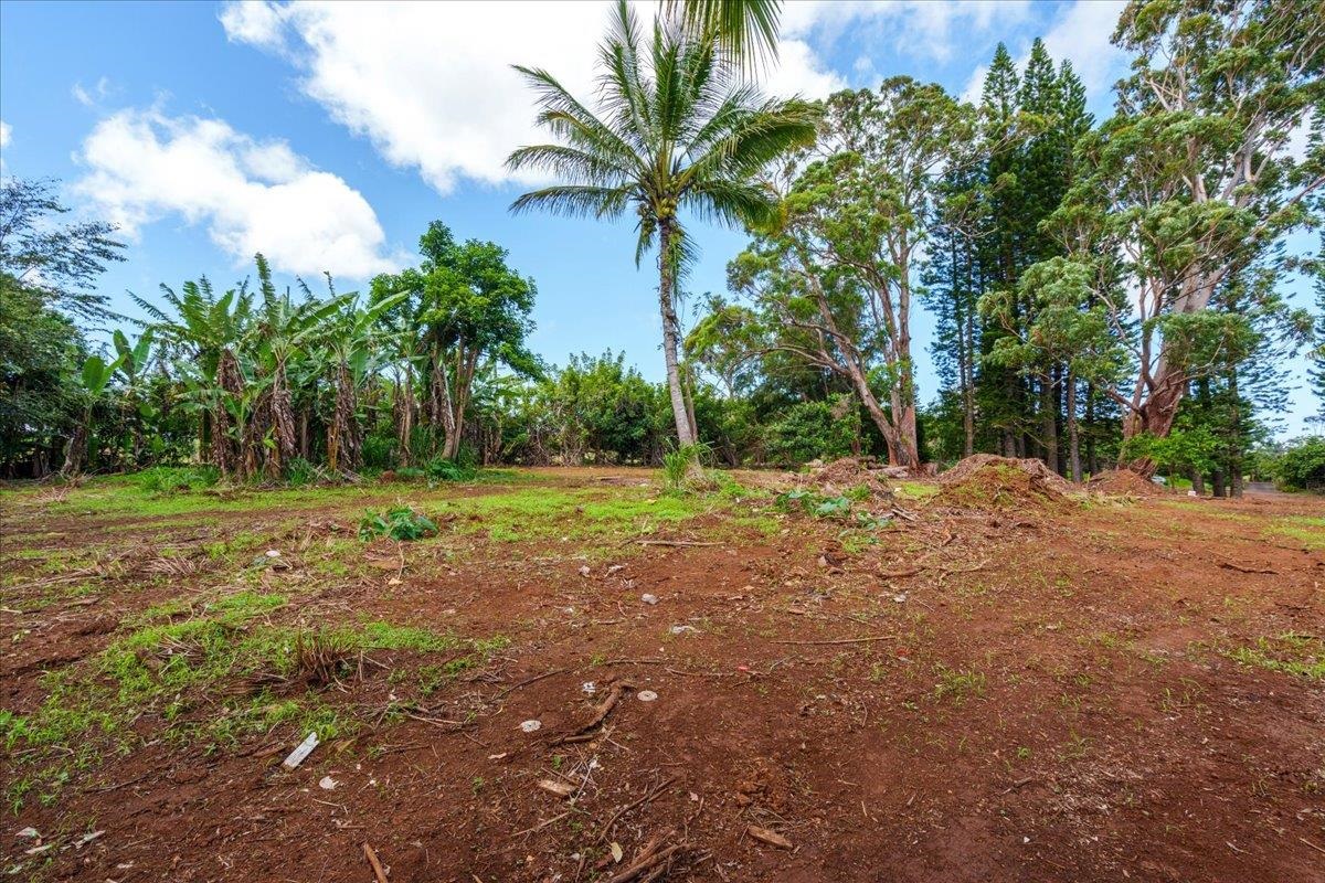 2175 Kauhikoa Rd Property Photo 5