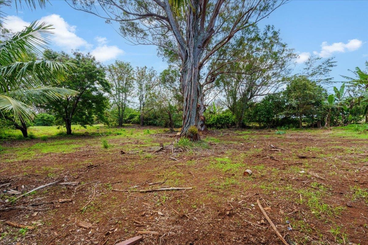 2175 Kauhikoa Rd Property Photo 6