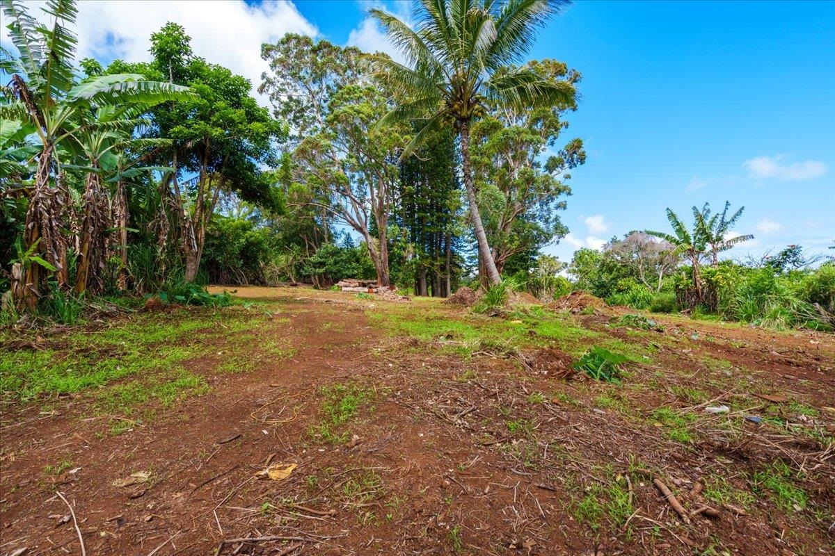 2175 Kauhikoa Rd Property Photo 7