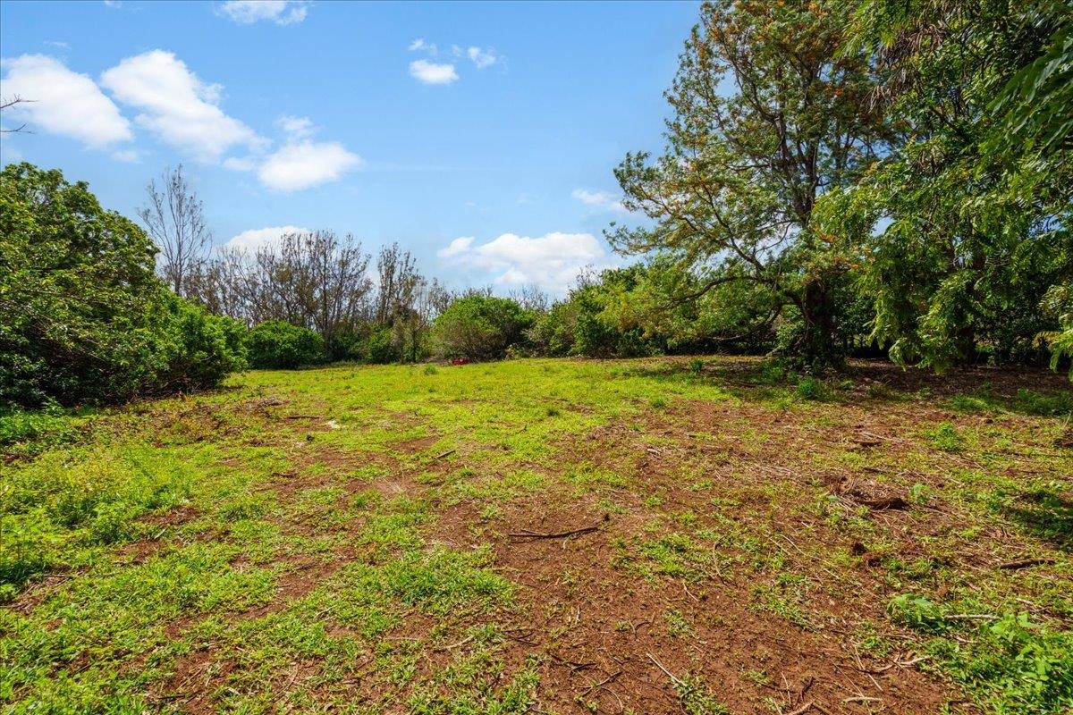 2175 Kauhikoa Rd Property Photo 8