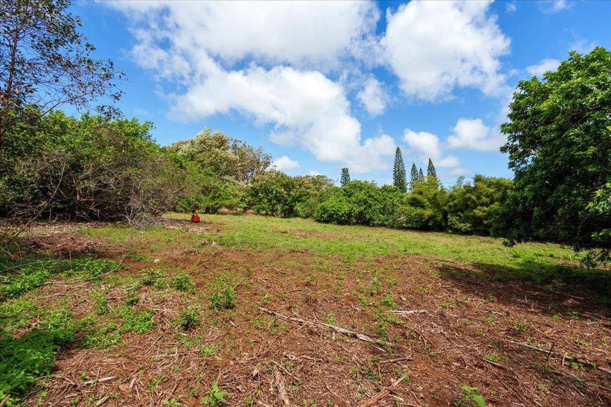 2175 Kauhikoa Rd Property Photo 9