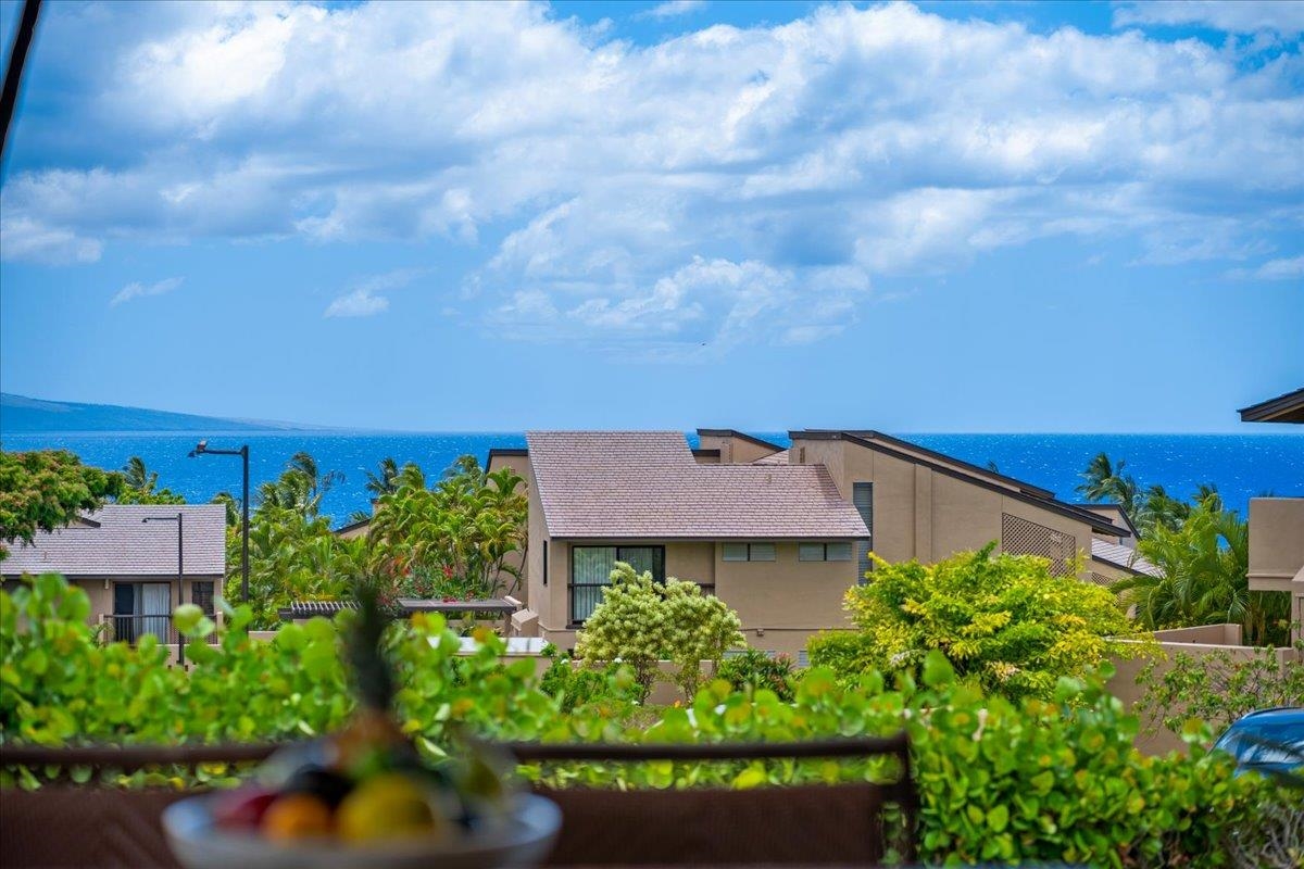 3300 Wailea Alanui Dr Property Photo 25