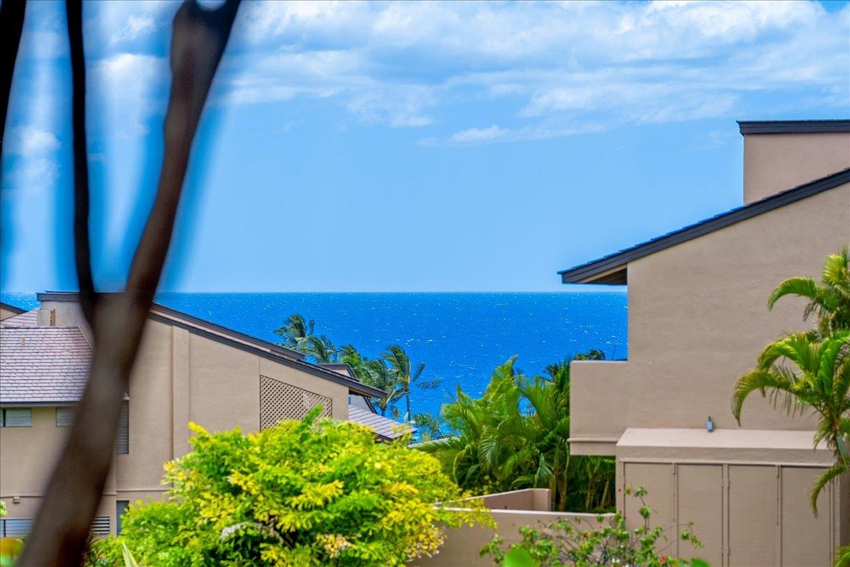 3300 Wailea Alanui Dr Property Photo 28