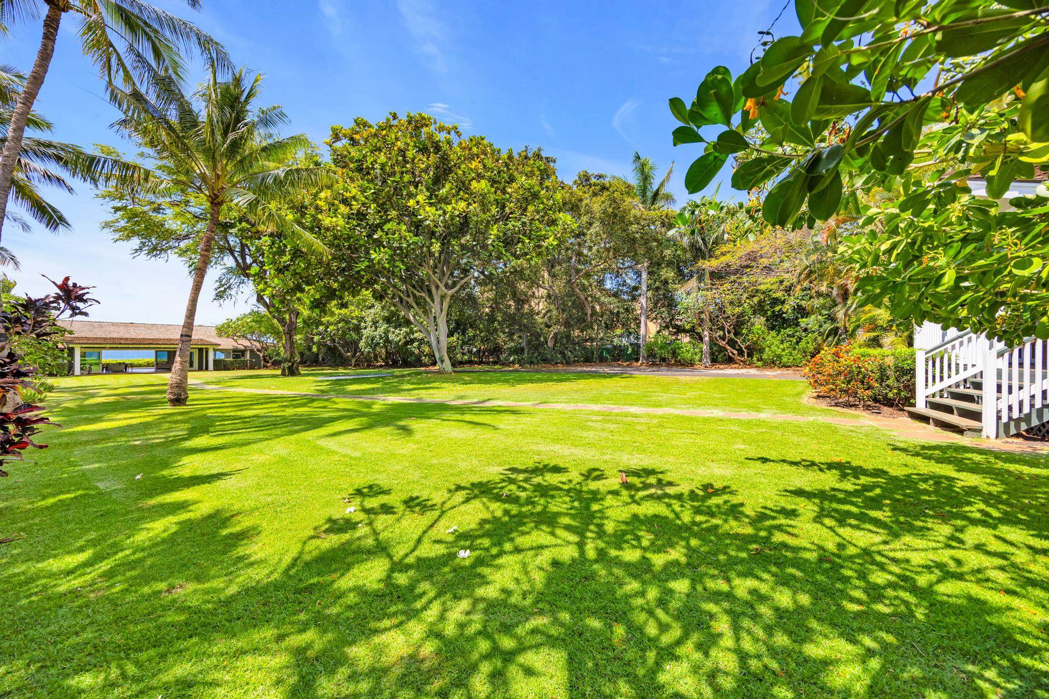 210 S Hauoli St Property Photo 37