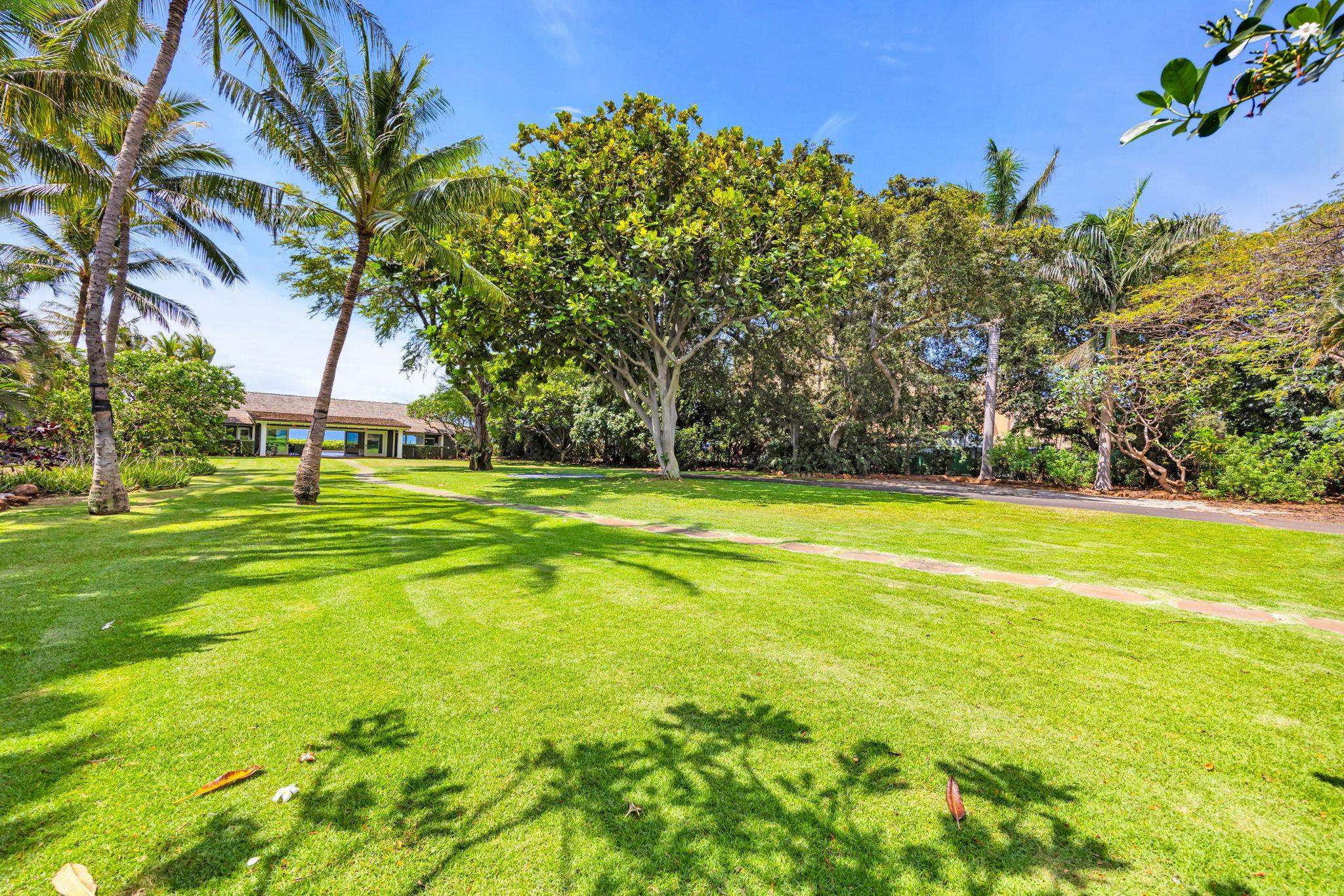 210 S Hauoli St Property Photo 42