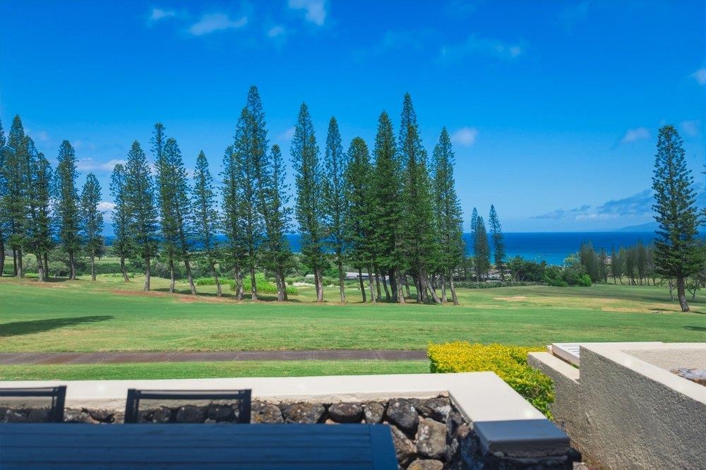 500 Kapalua Dr Property Photo 16