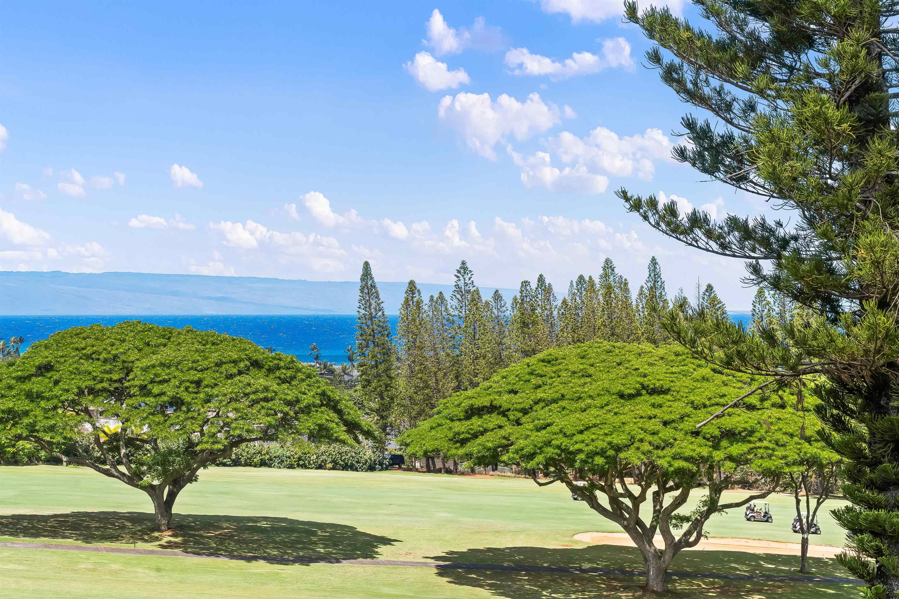 500 Kapalua Dr Property Photo 8